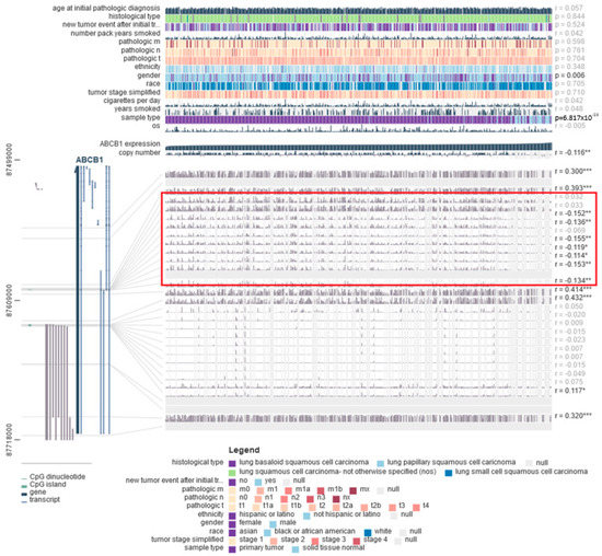 Bioinformatics-Based Characterization of ATP-Binding Bioinformatics-Based Characterization of ATP-Binding