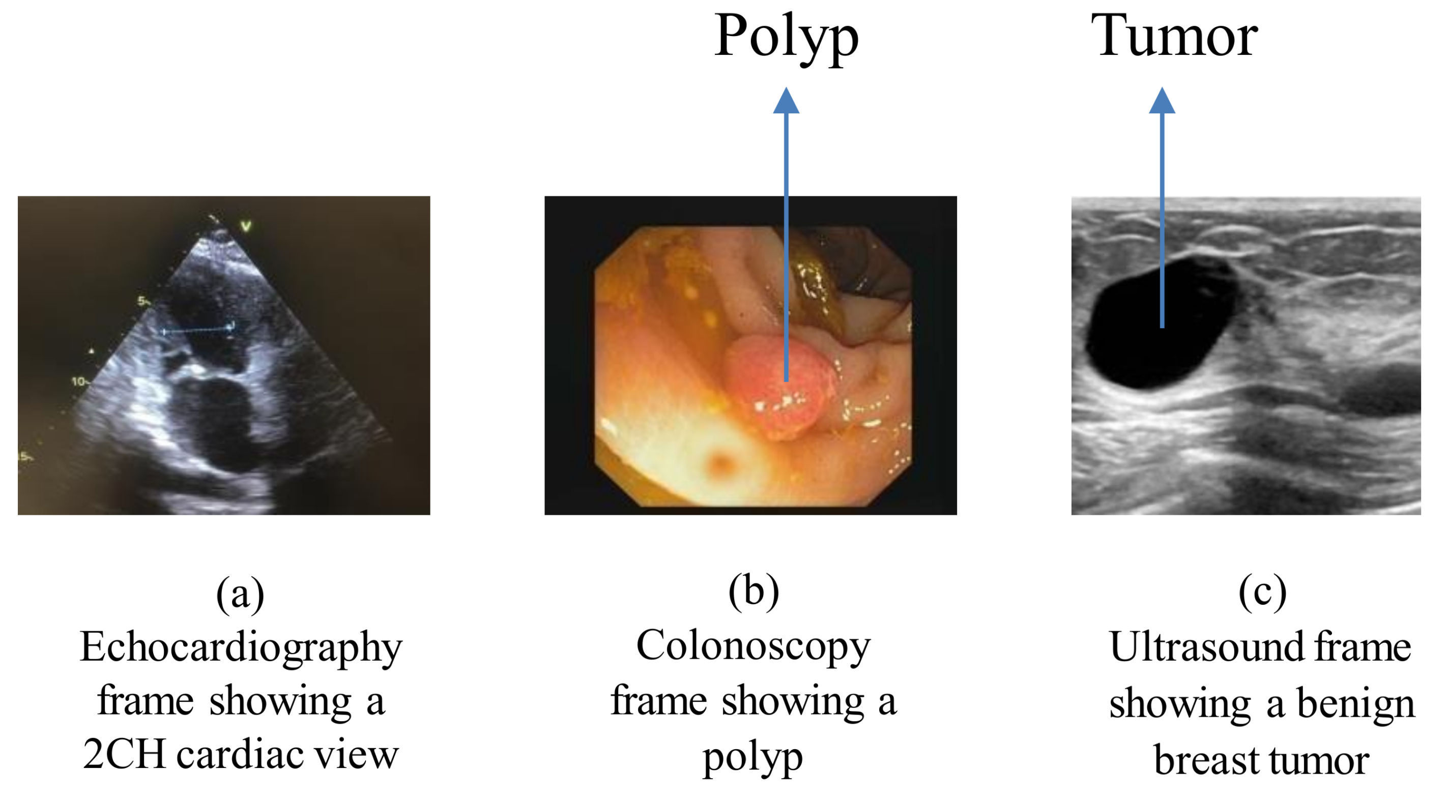 Applsci 13 06582 g002