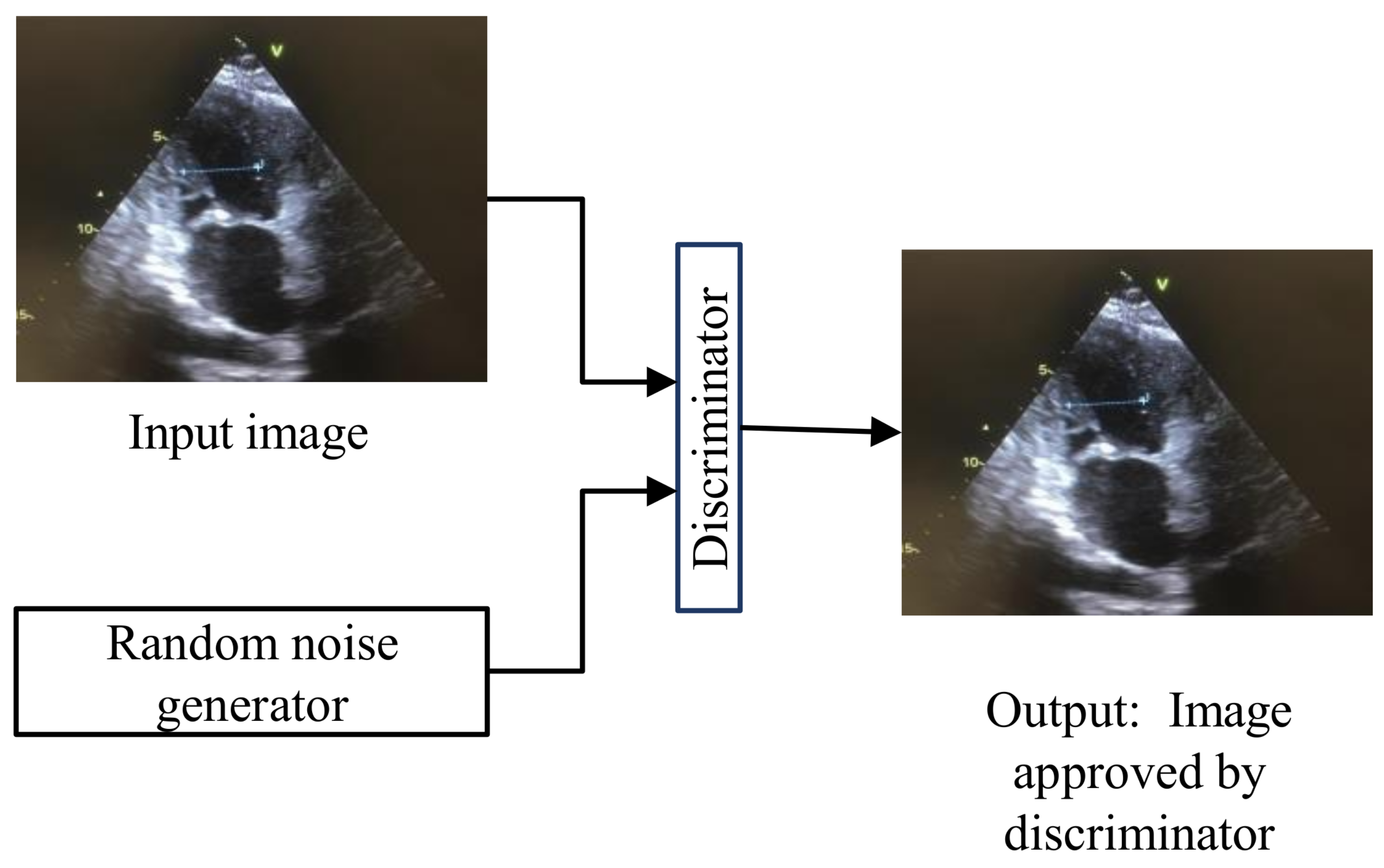 Applsci 13 06582 g005