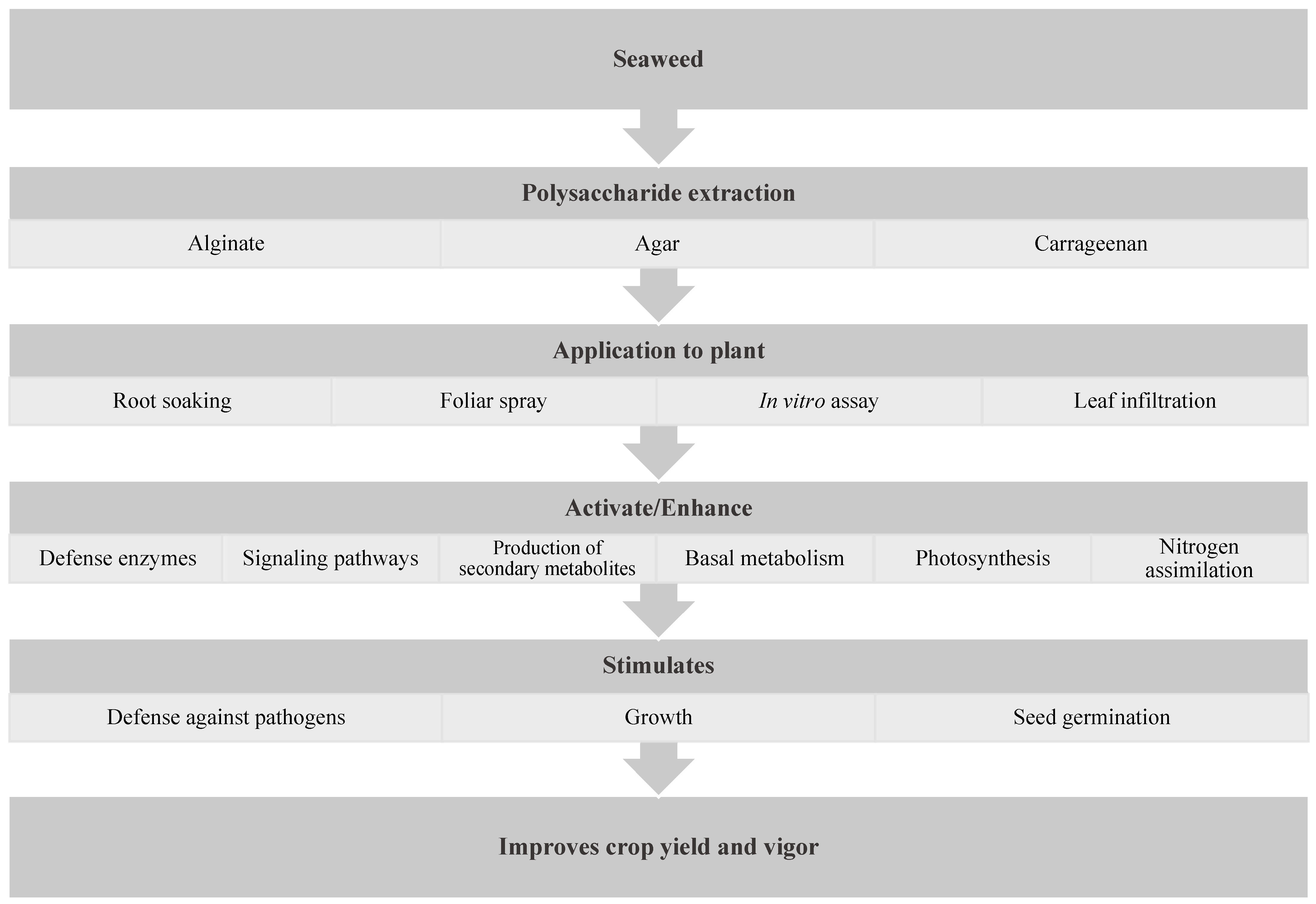 Applsci 13 06594 g004 Applsci 13 06594 g004