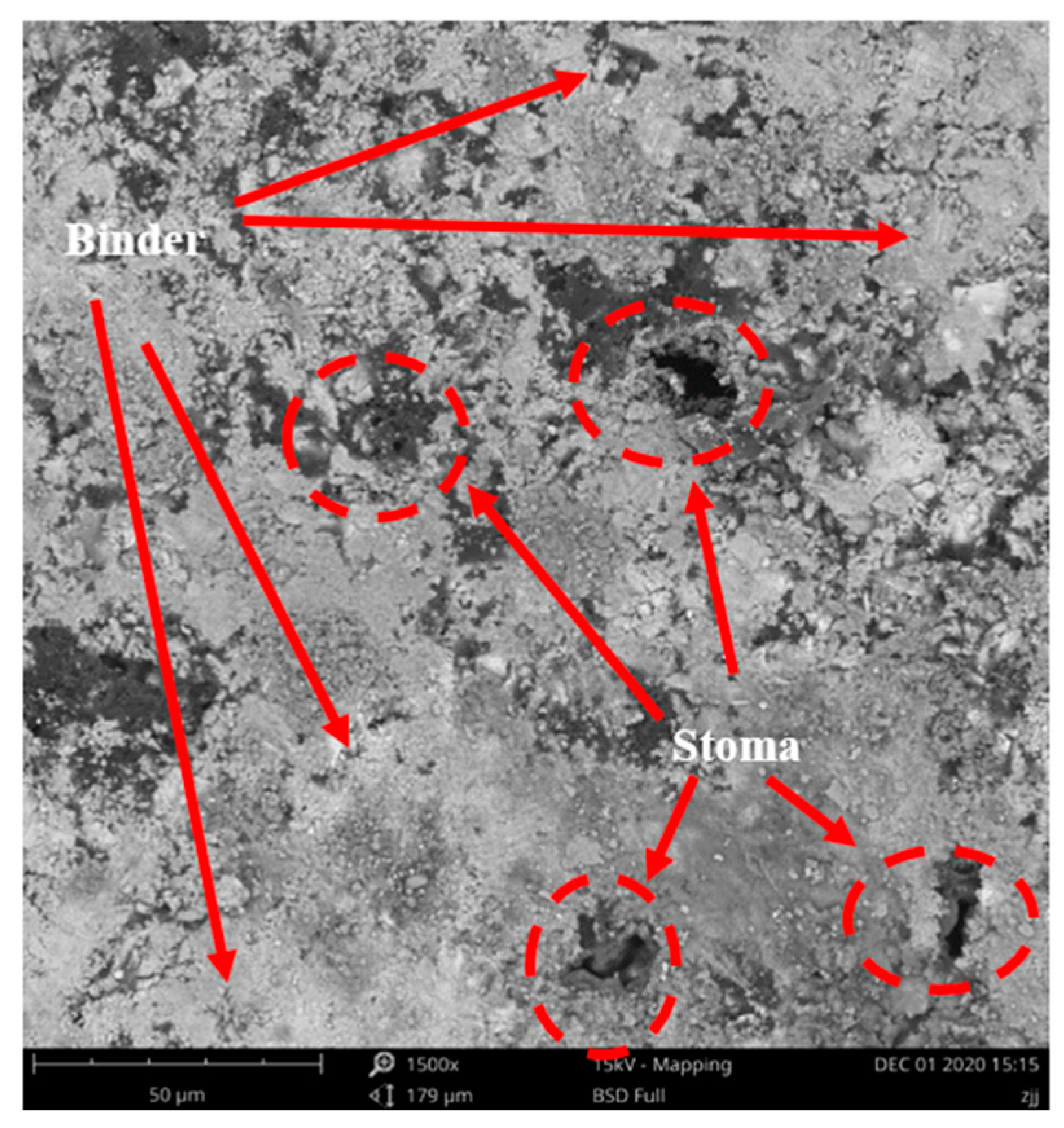 Applsci 13 06599 g011