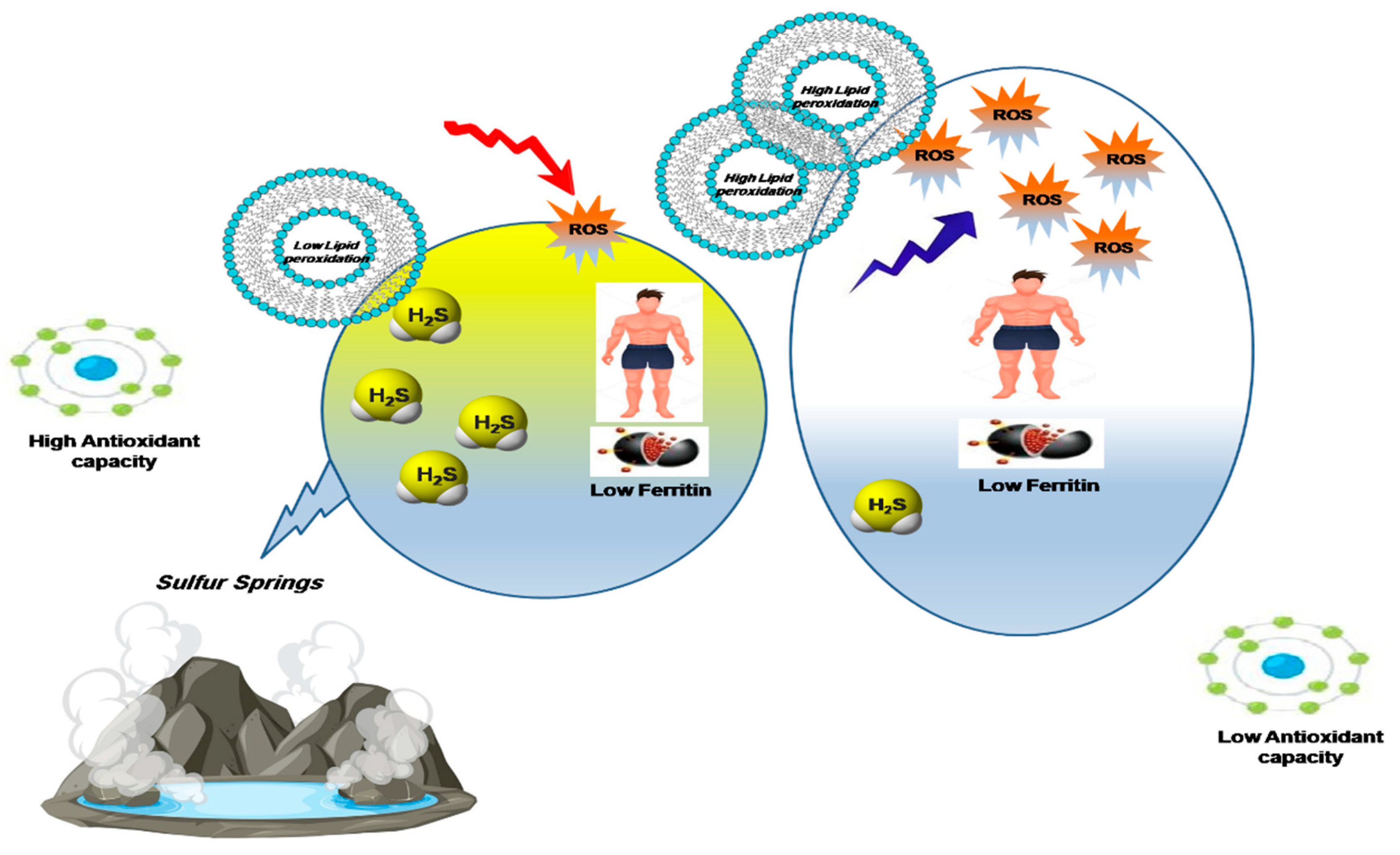 Applsci 13 06621 g006