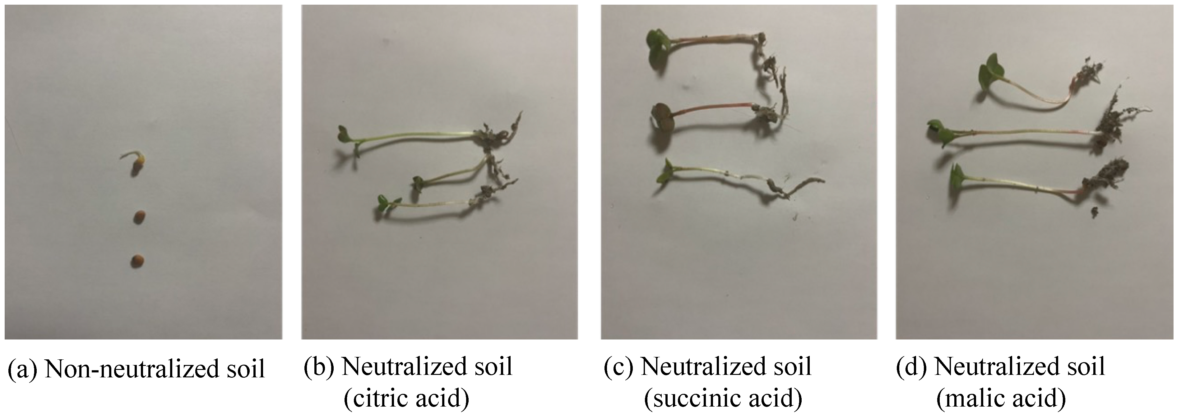 Applsci 13 06622 g007 Applsci 13 06622 g007