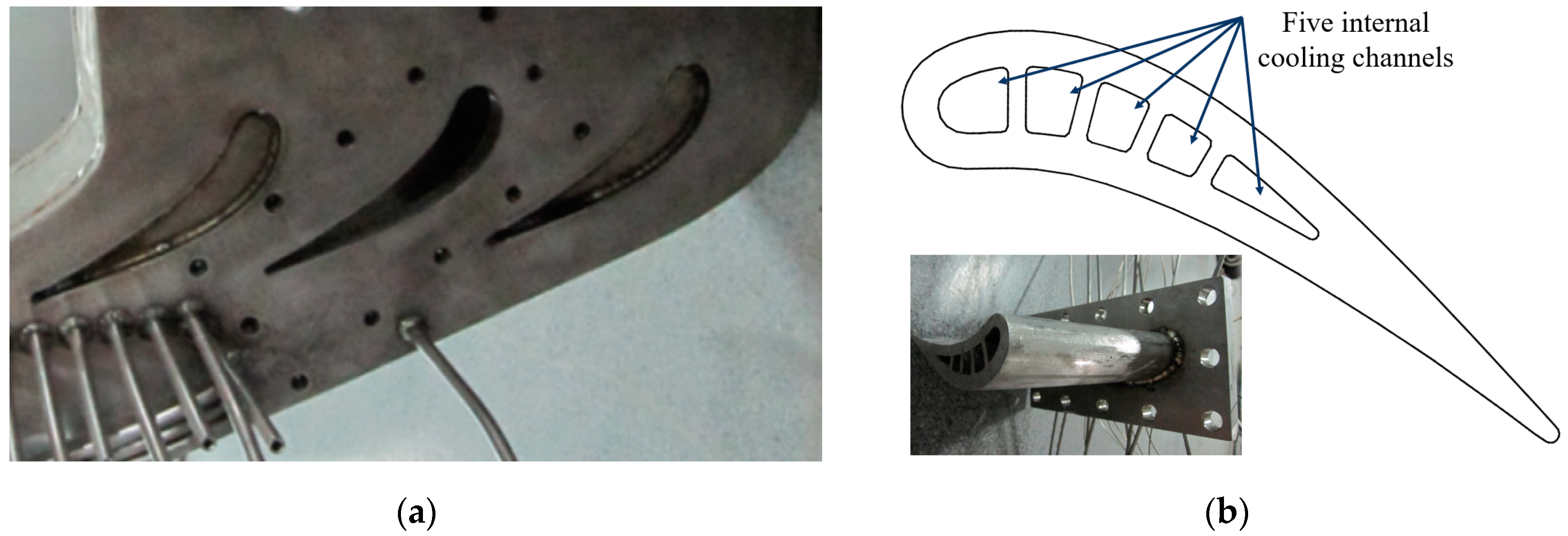 Applsci 13 06625 g002 Applsci 13 06625 g002