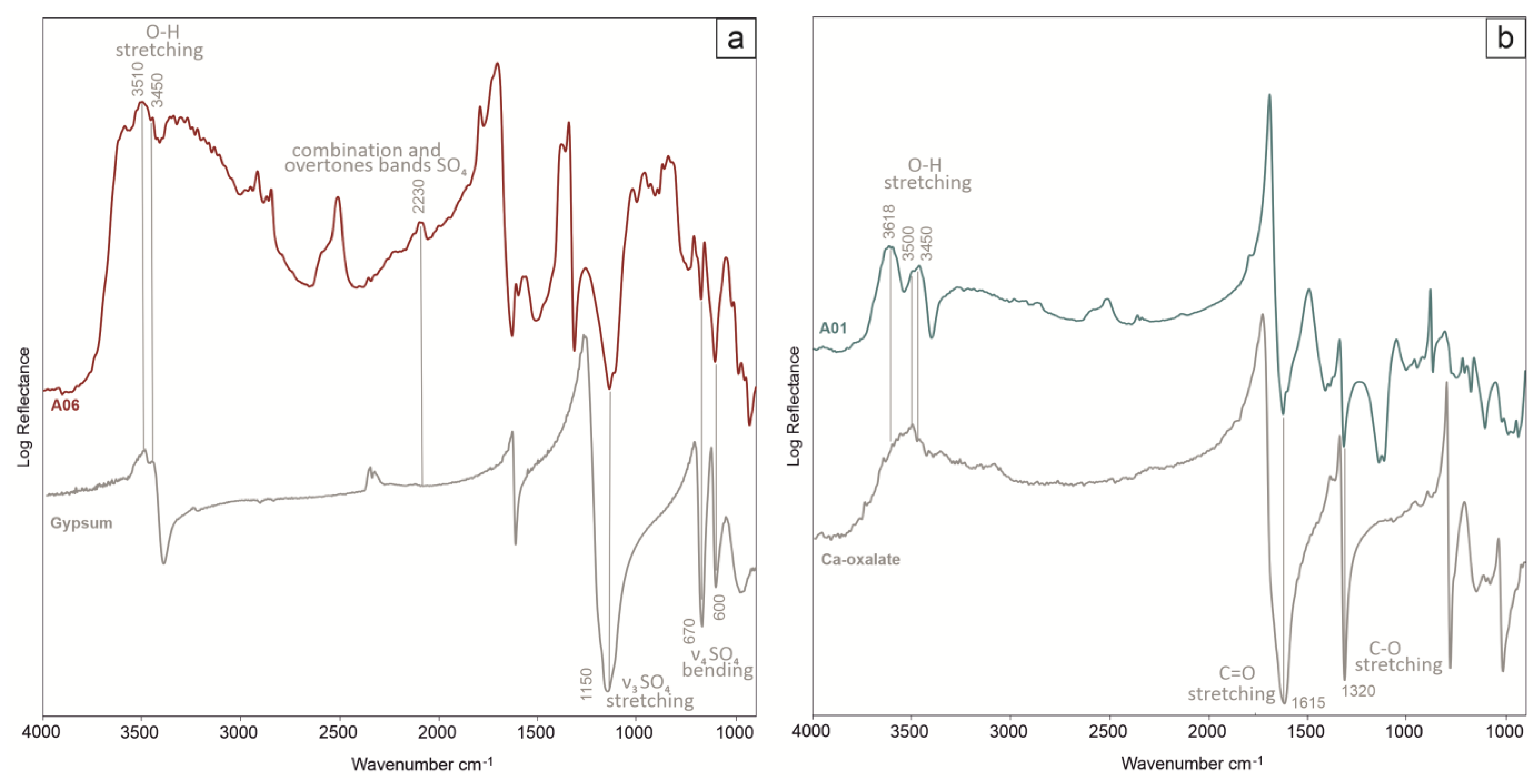 Applsci 13 06638 g007