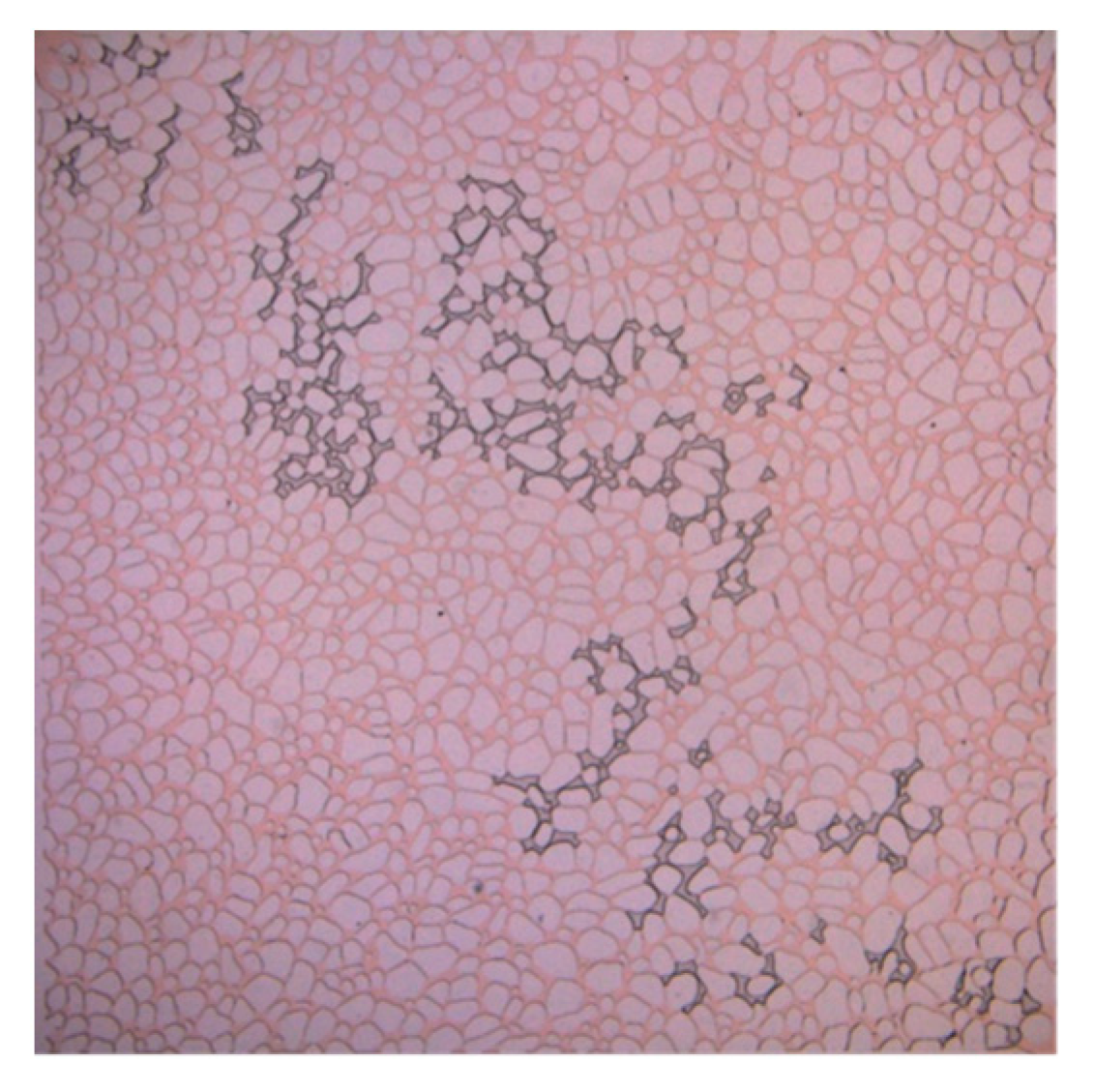 Applsci 13 06642 g006