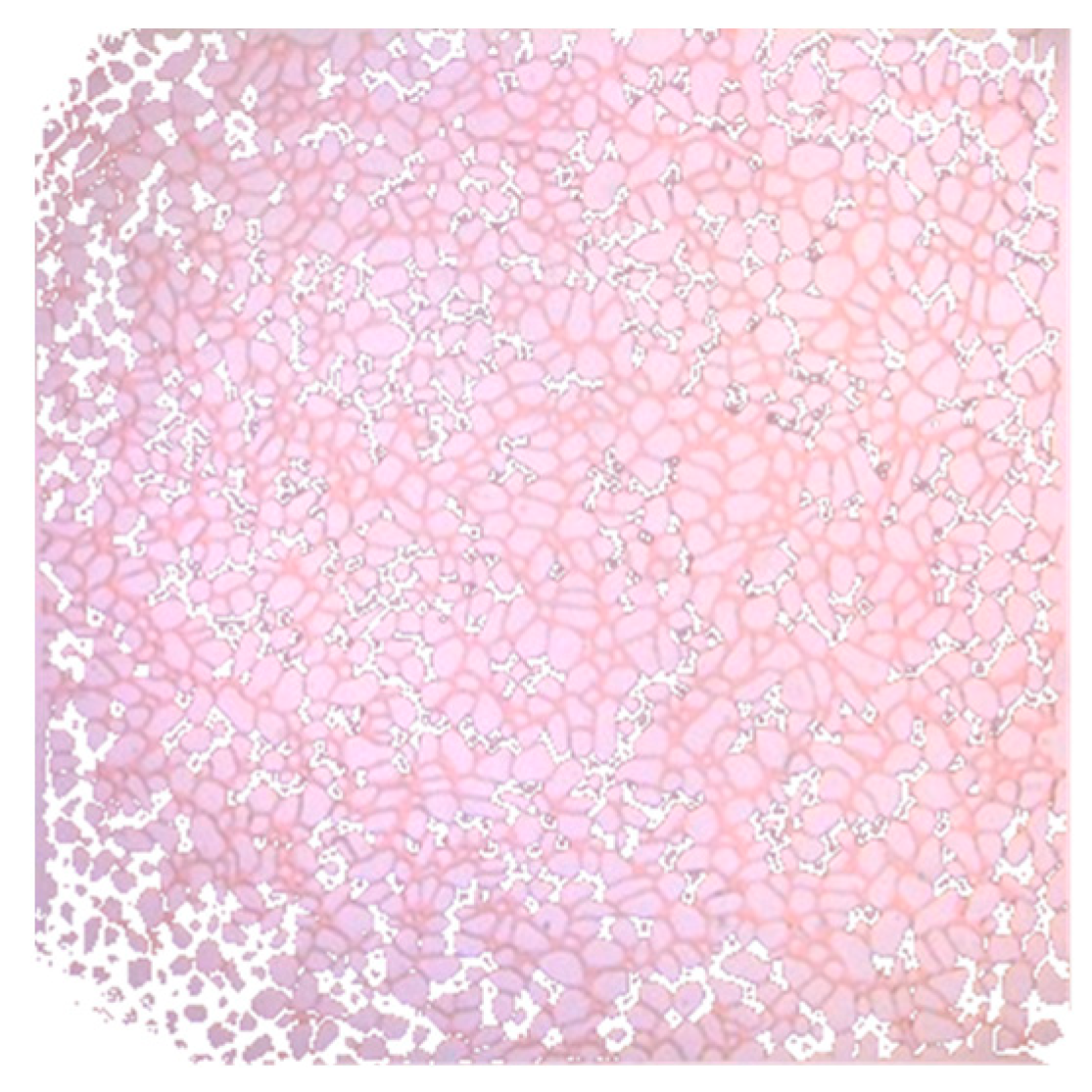 Applsci 13 06642 g010