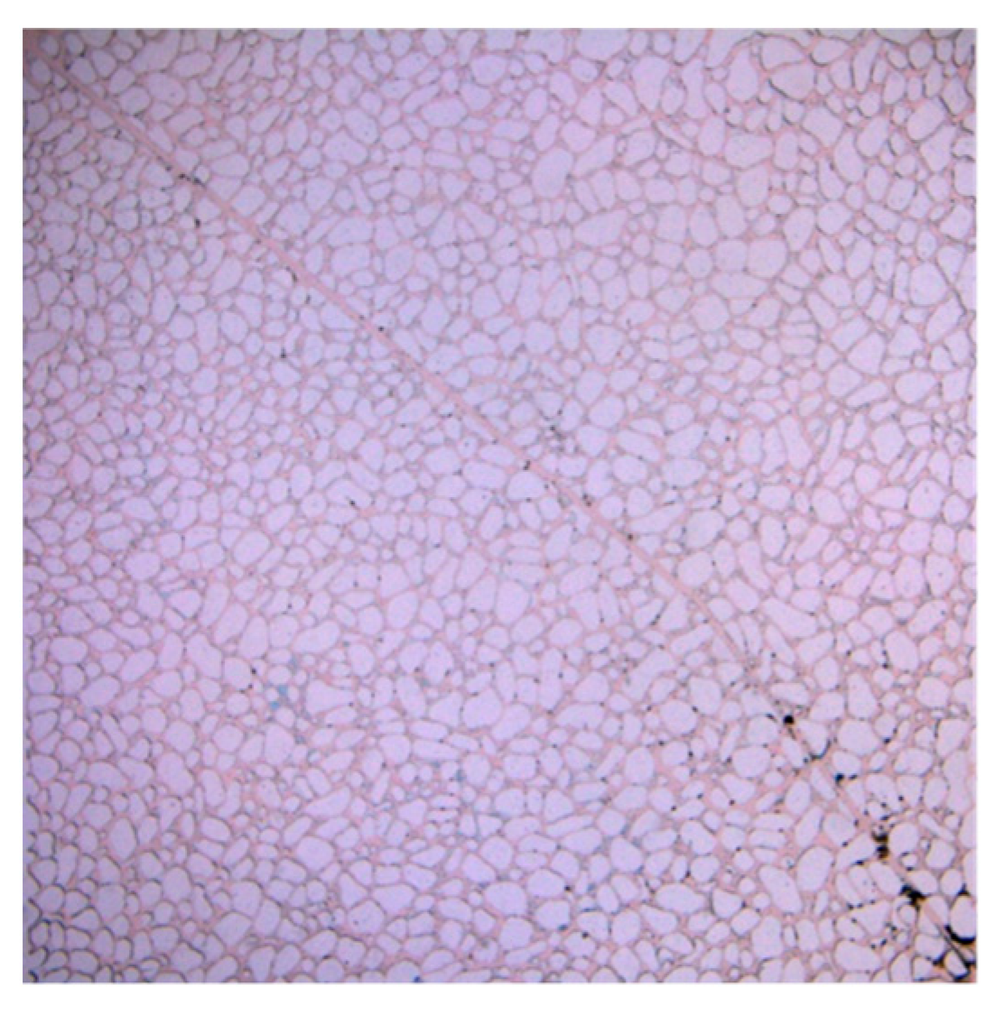 Applsci 13 06642 g011