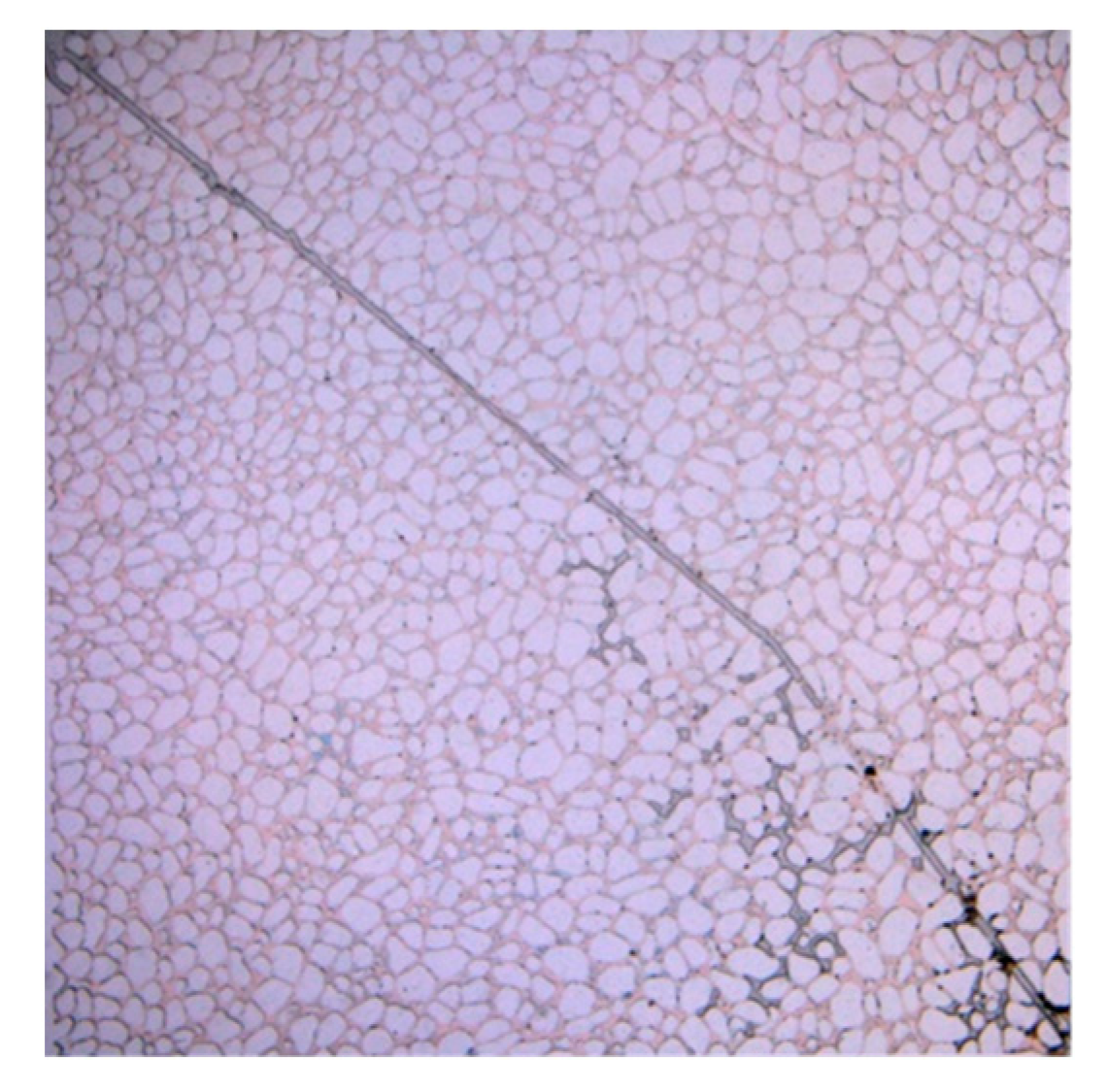 Applsci 13 06642 g013