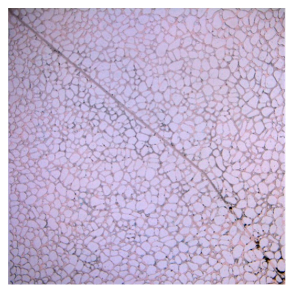 Applsci 13 06642 g015