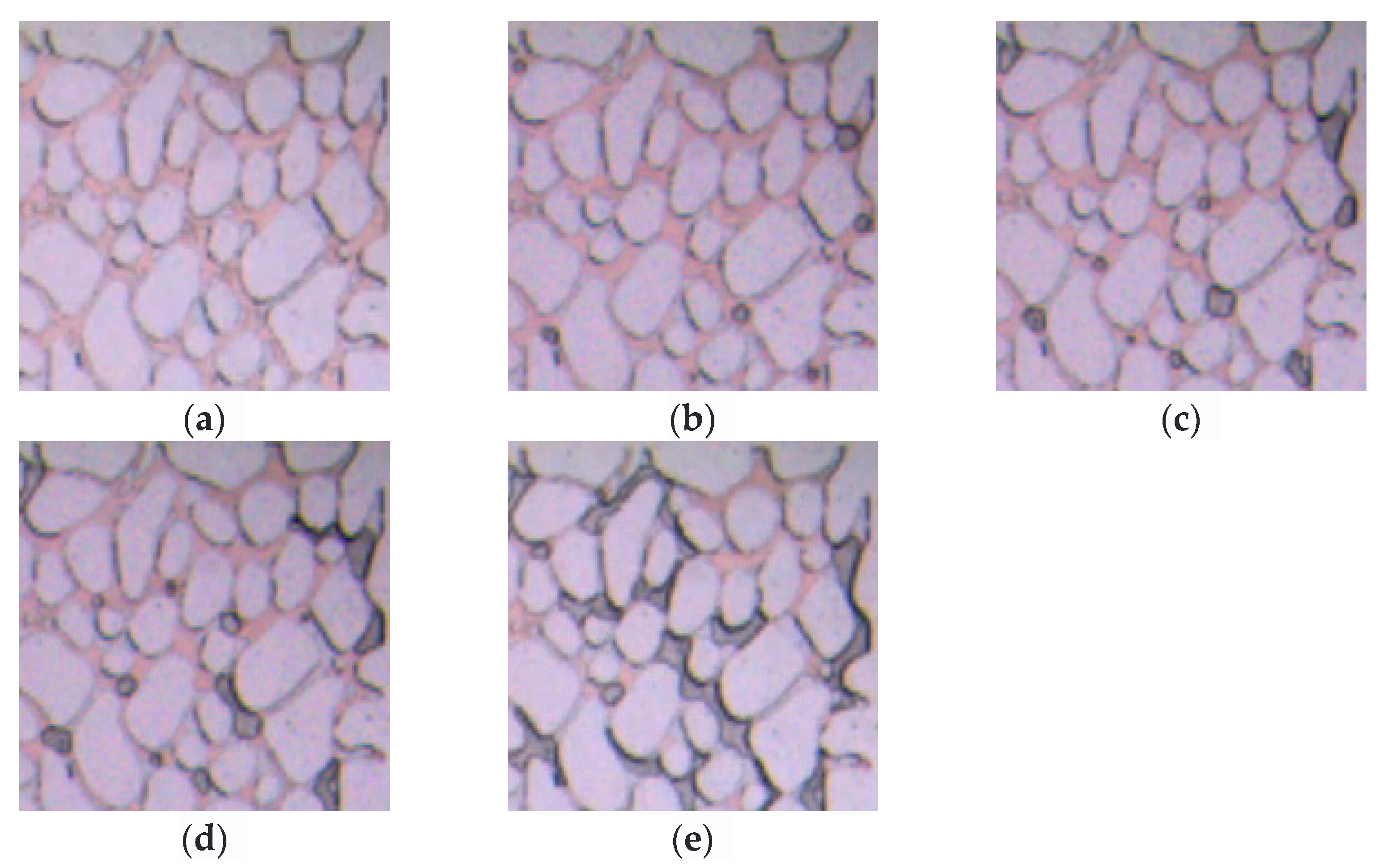 Applsci 13 06642 g019