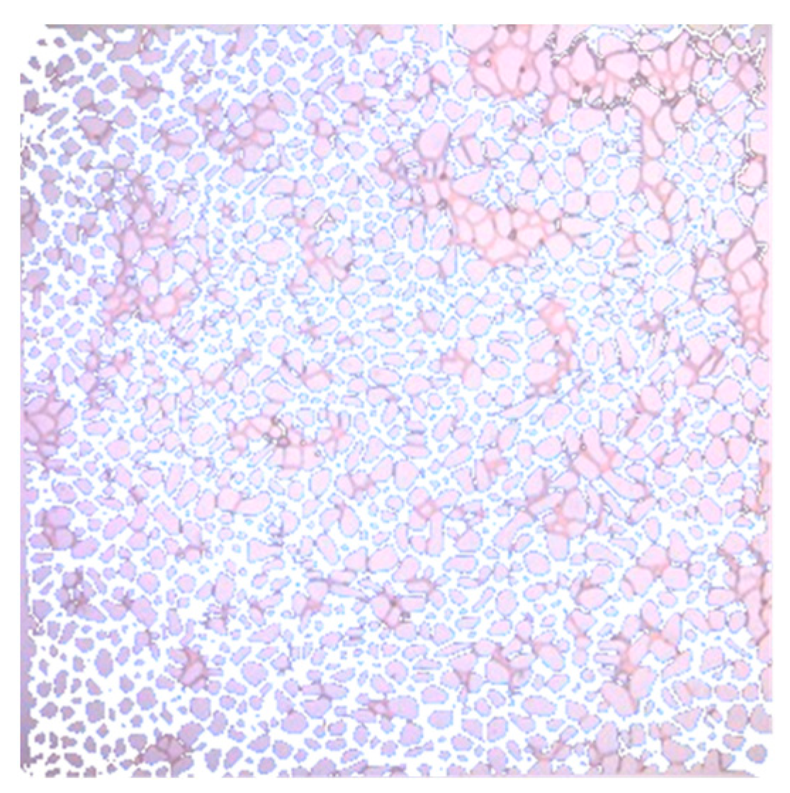 Applsci 13 06642 g024