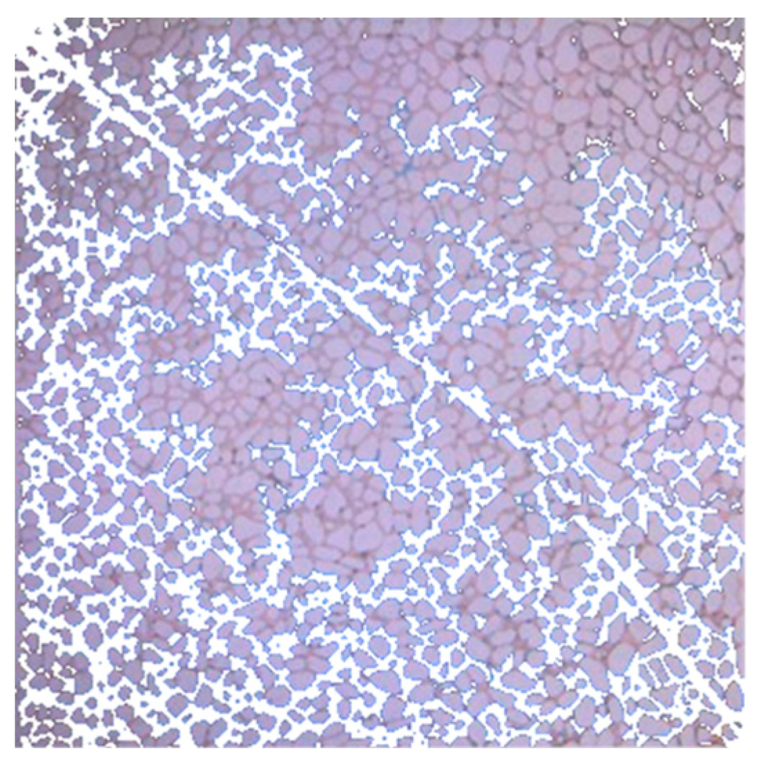 Applsci 13 06642 g029