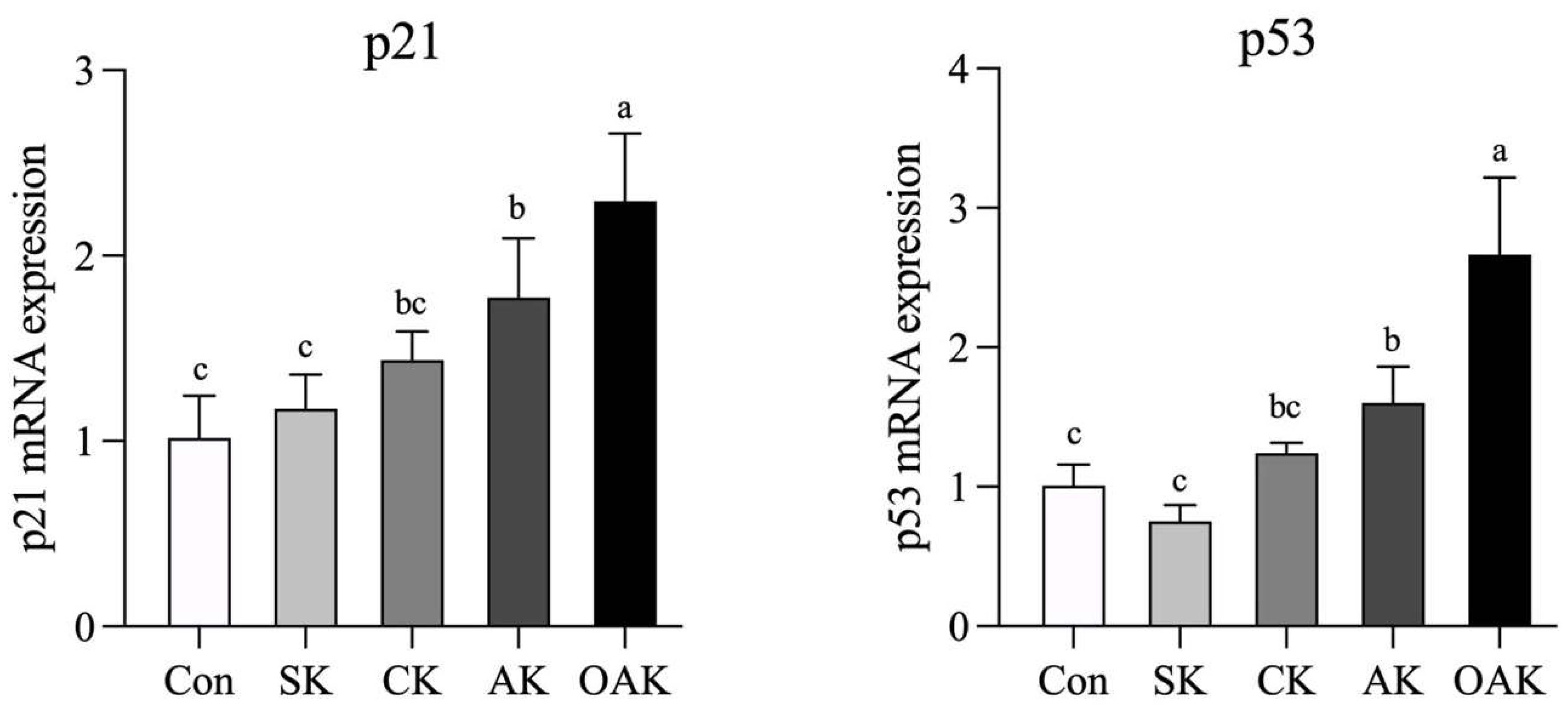 Applsci 13 06654 g004 Applsci 13 06654 g004