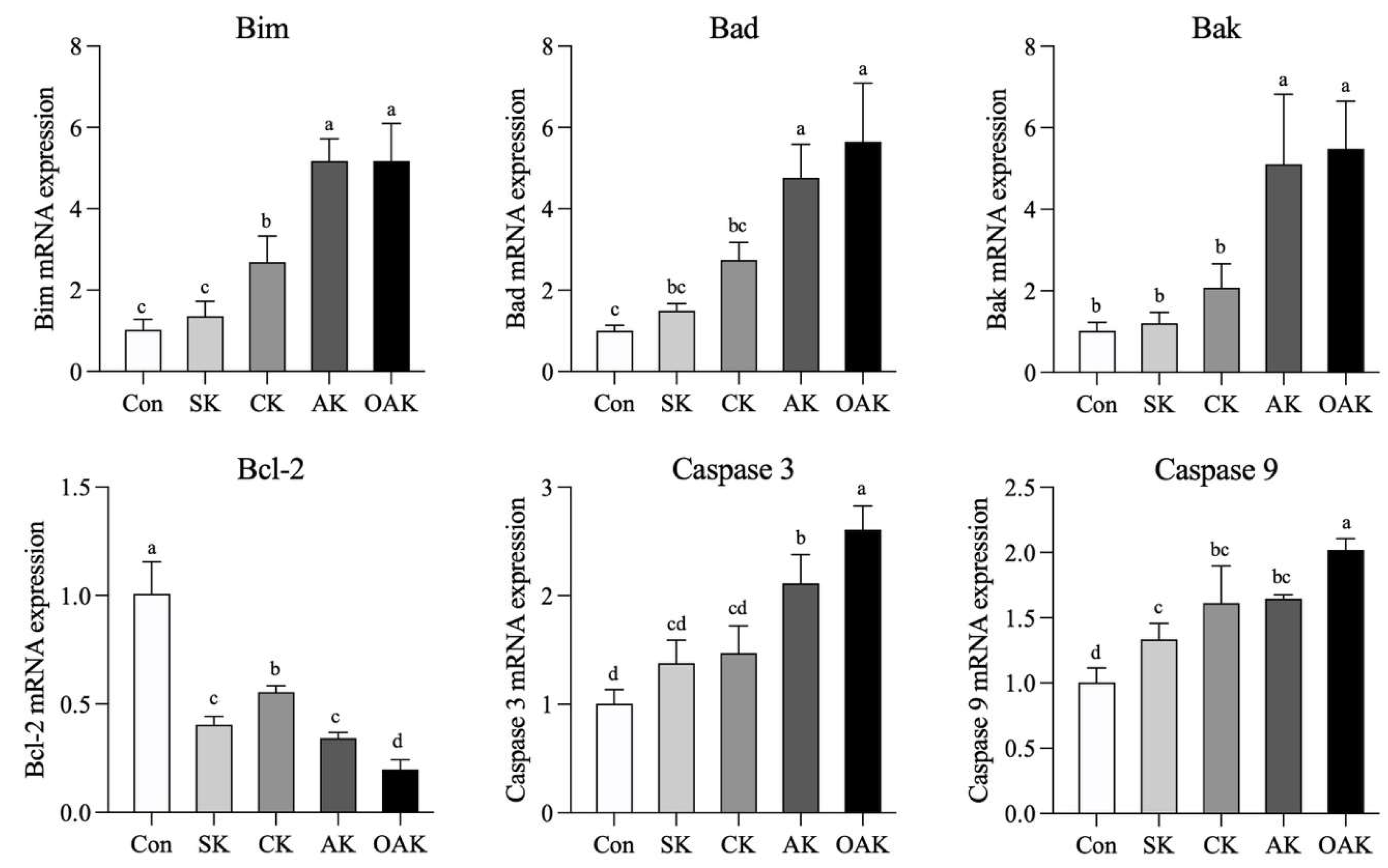 Applsci 13 06654 g005 Applsci 13 06654 g005