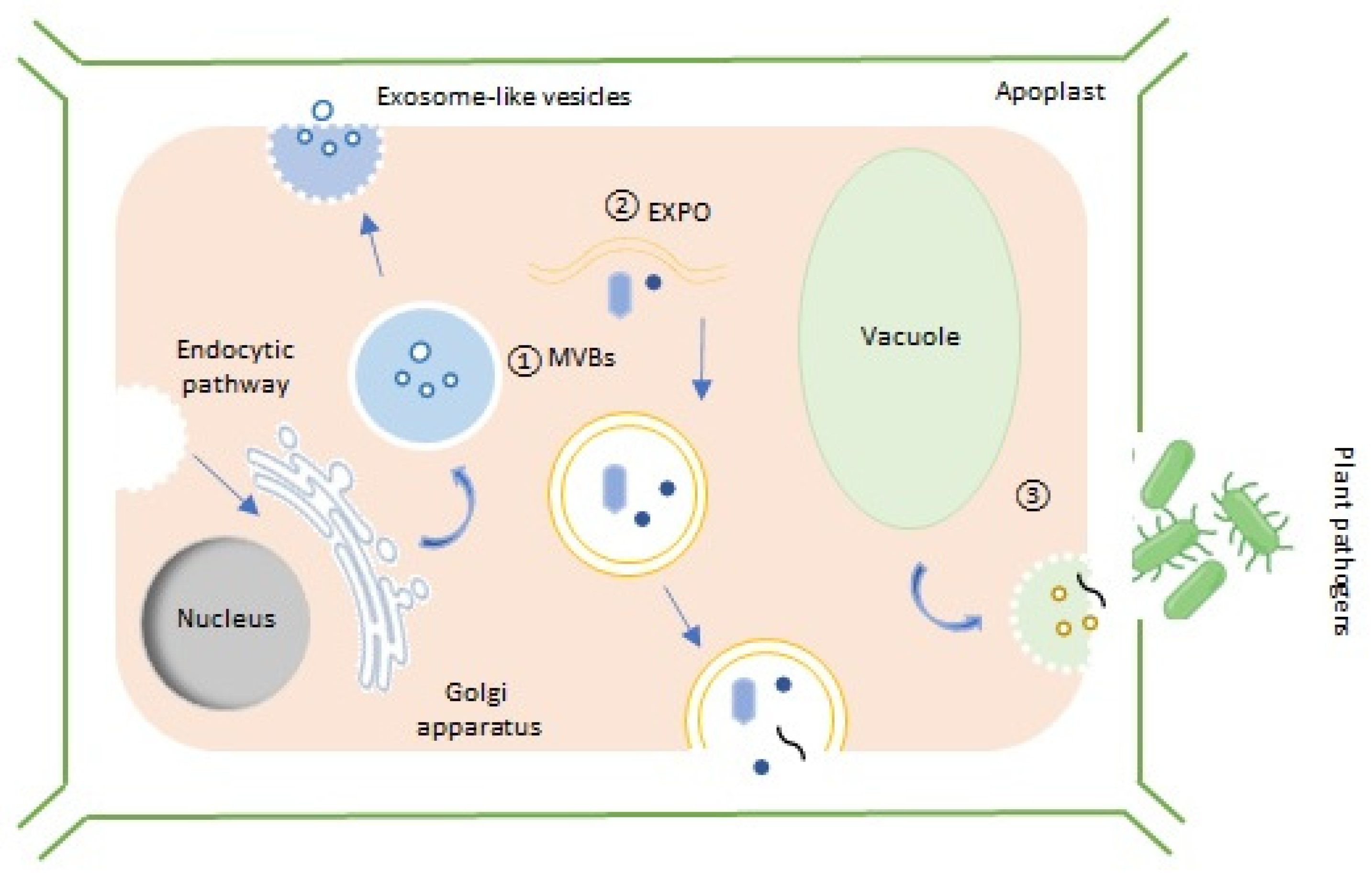 Applsci 13 06656 g001 Applsci 13 06656 g001