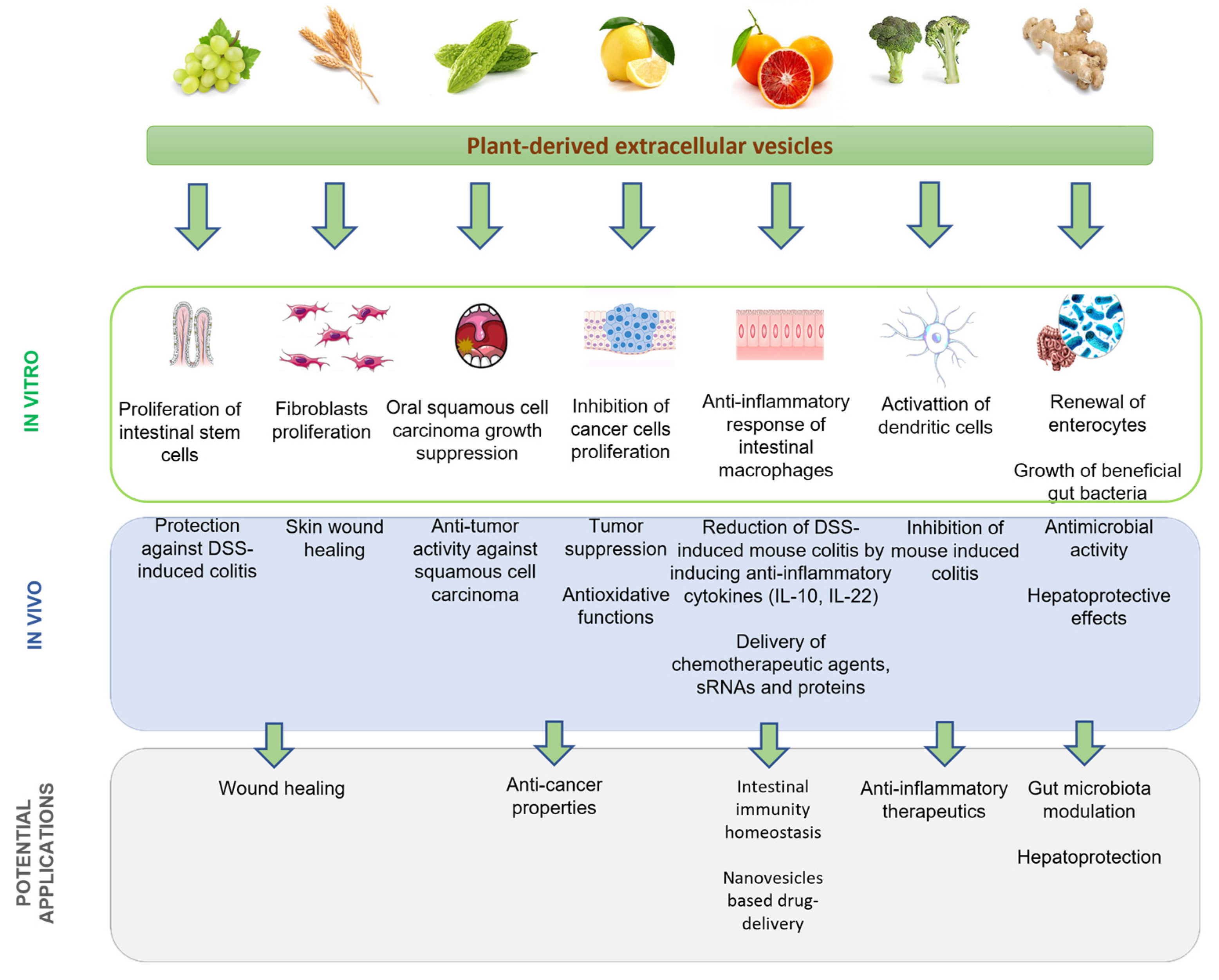 Applsci 13 06656 g002 Applsci 13 06656 g002