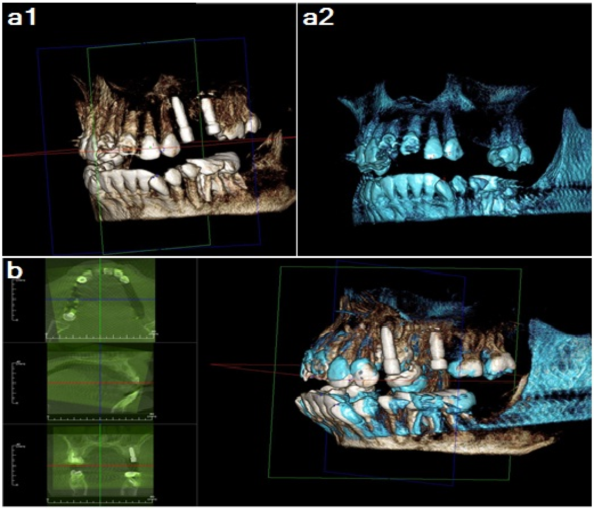 Applsci 13 06668 g005 Applsci 13 06668 g005