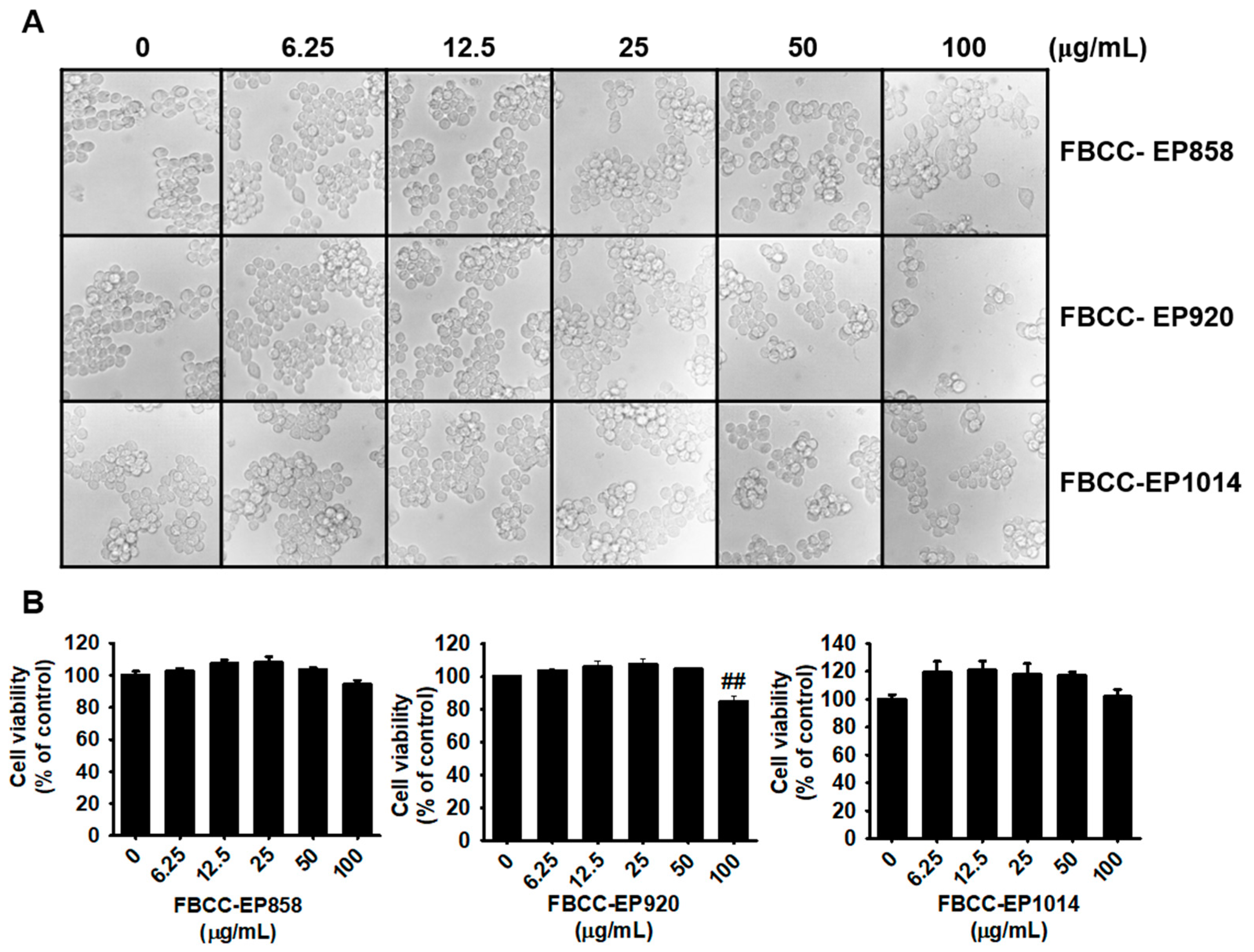 Applsci 13 06701 g002 Applsci 13 06701 g002