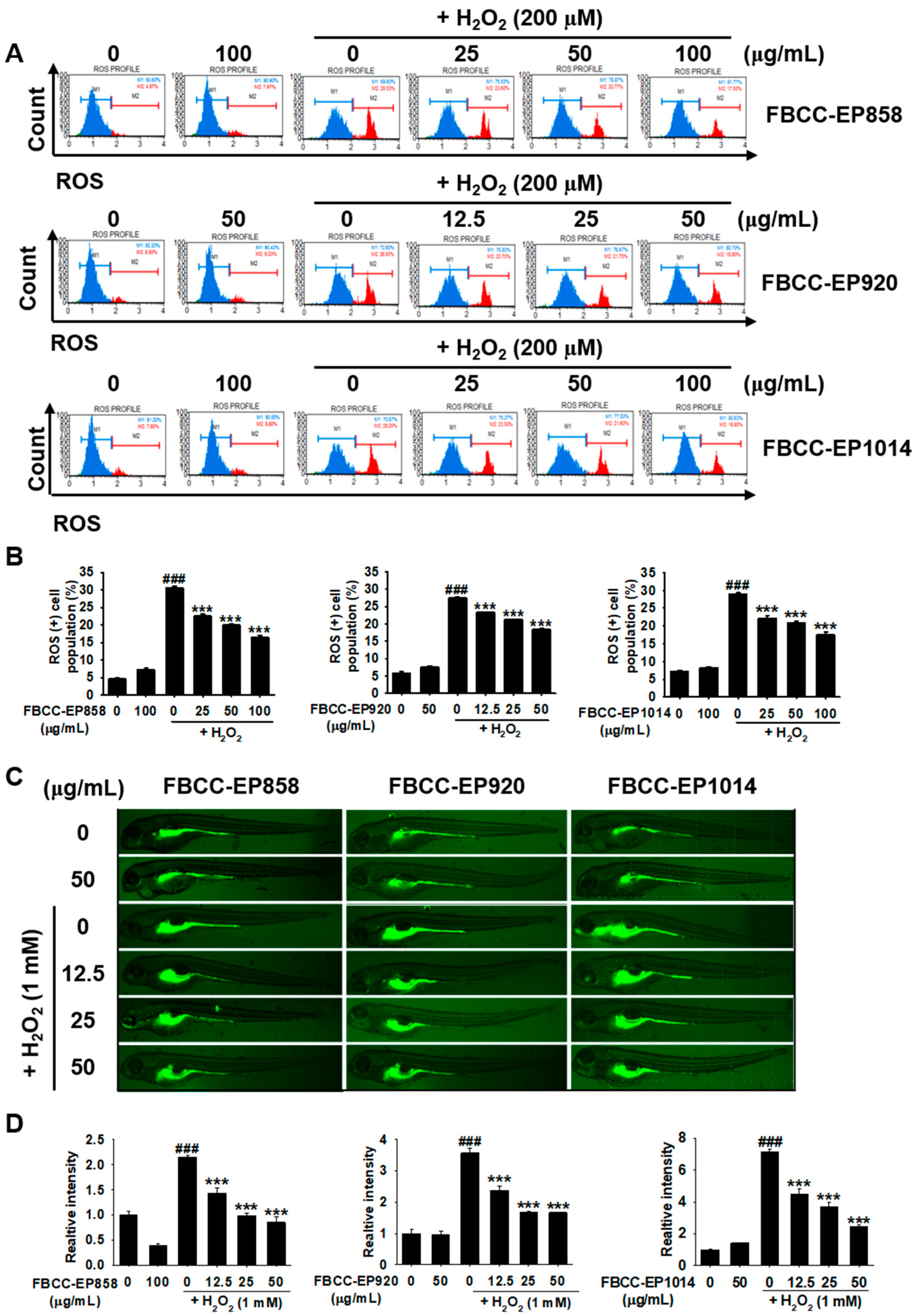 Applsci 13 06701 g003 Applsci 13 06701 g003