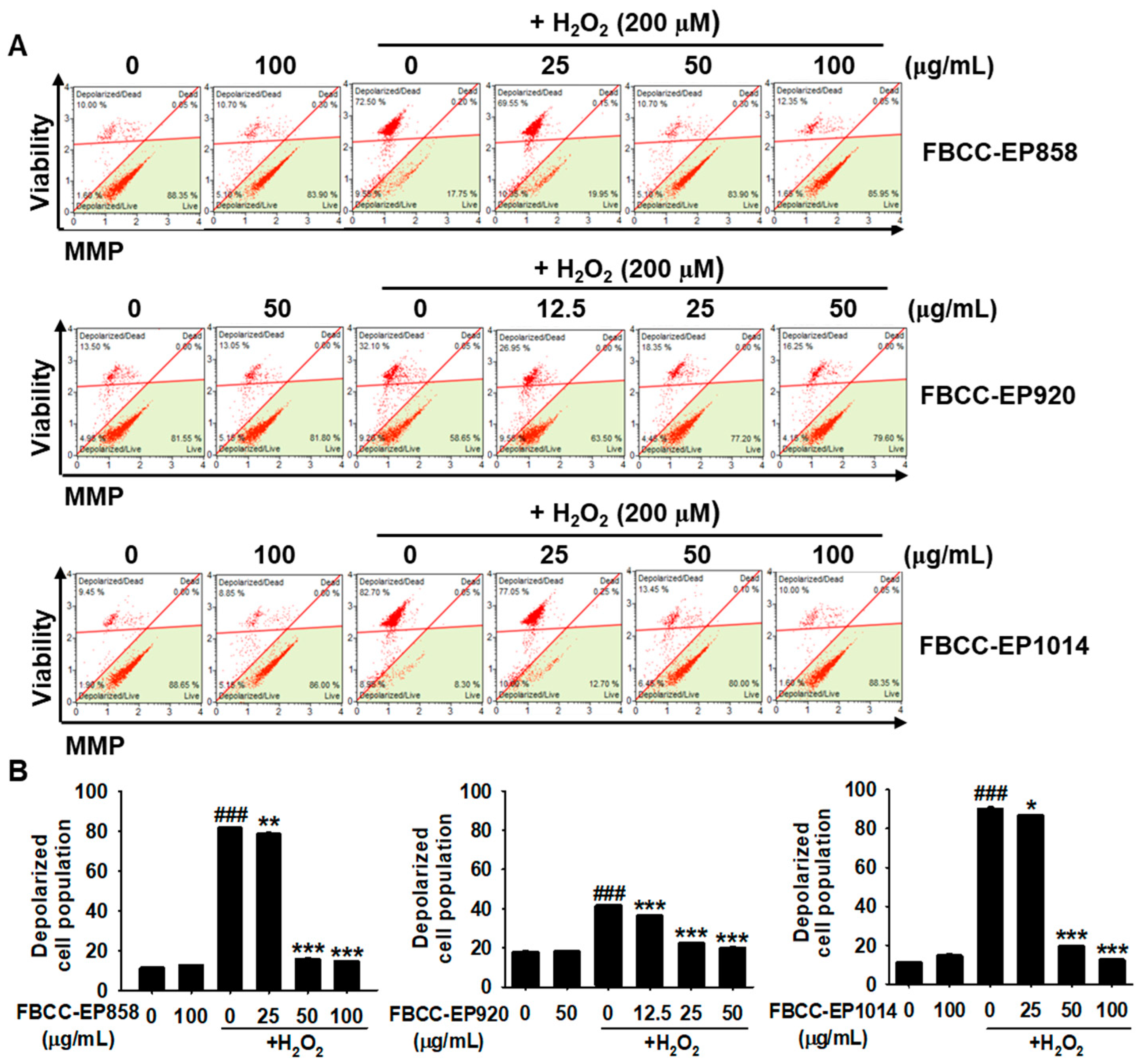 Applsci 13 06701 g004 Applsci 13 06701 g004