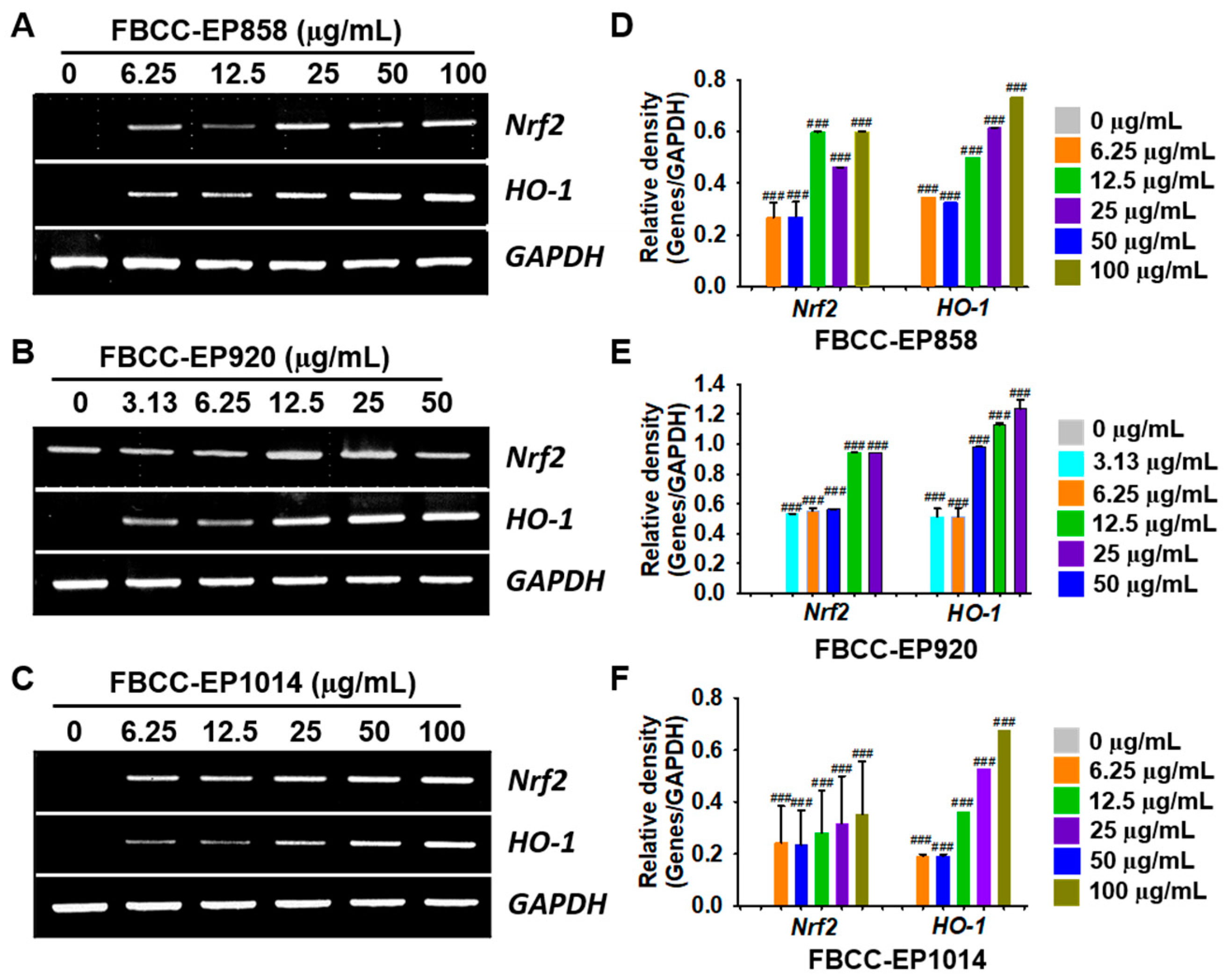 Applsci 13 06701 g005 Applsci 13 06701 g005