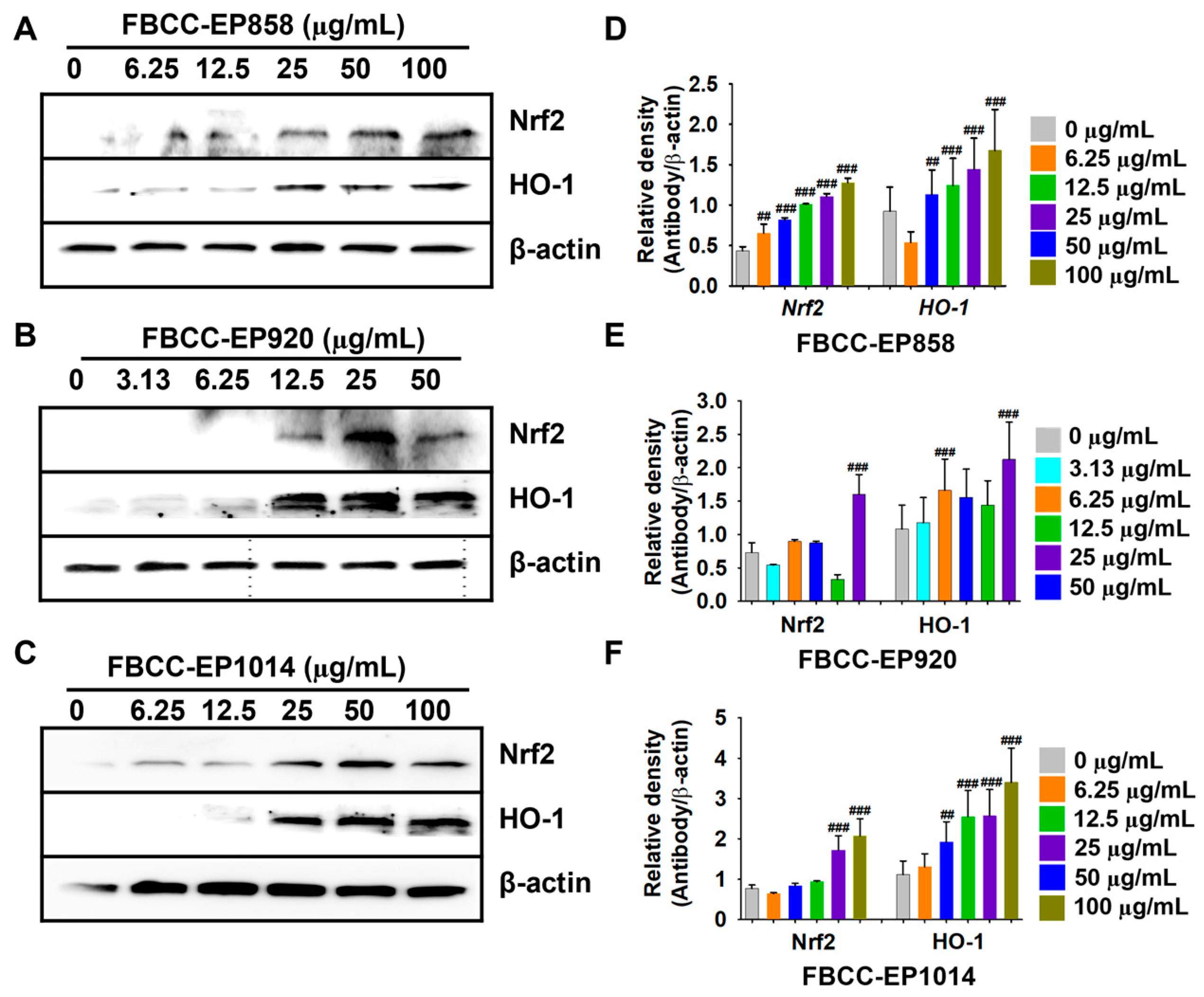 Applsci 13 06701 g006 Applsci 13 06701 g006