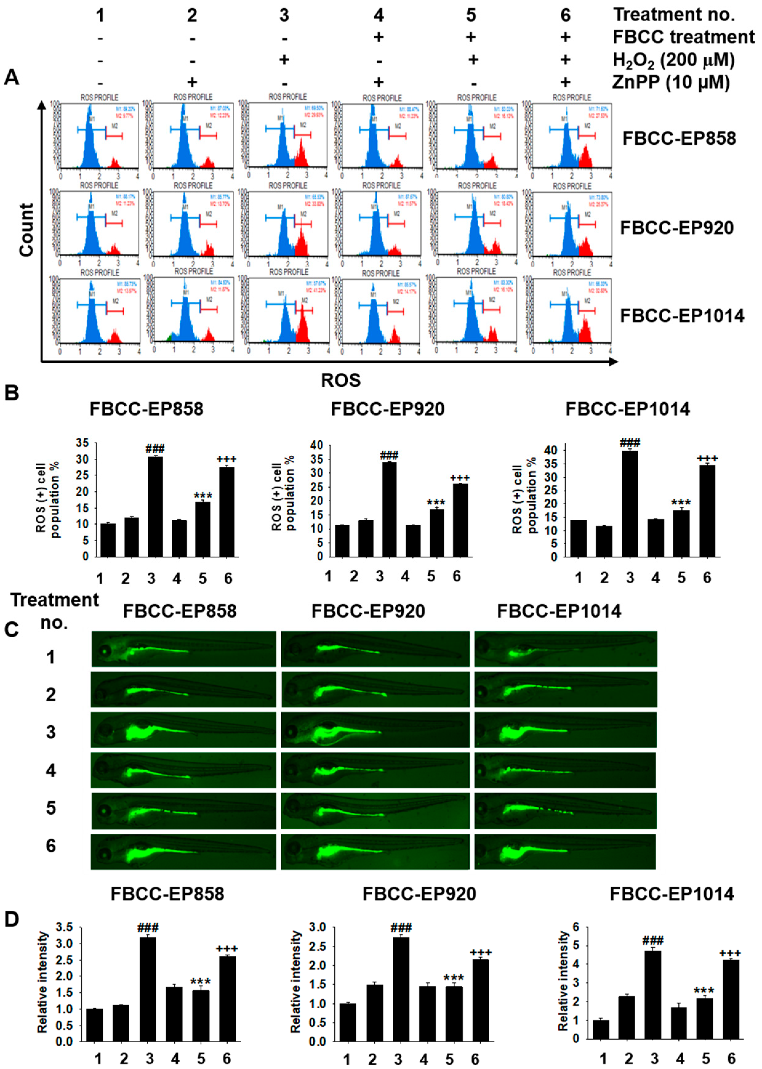Applsci 13 06701 g007 Applsci 13 06701 g007