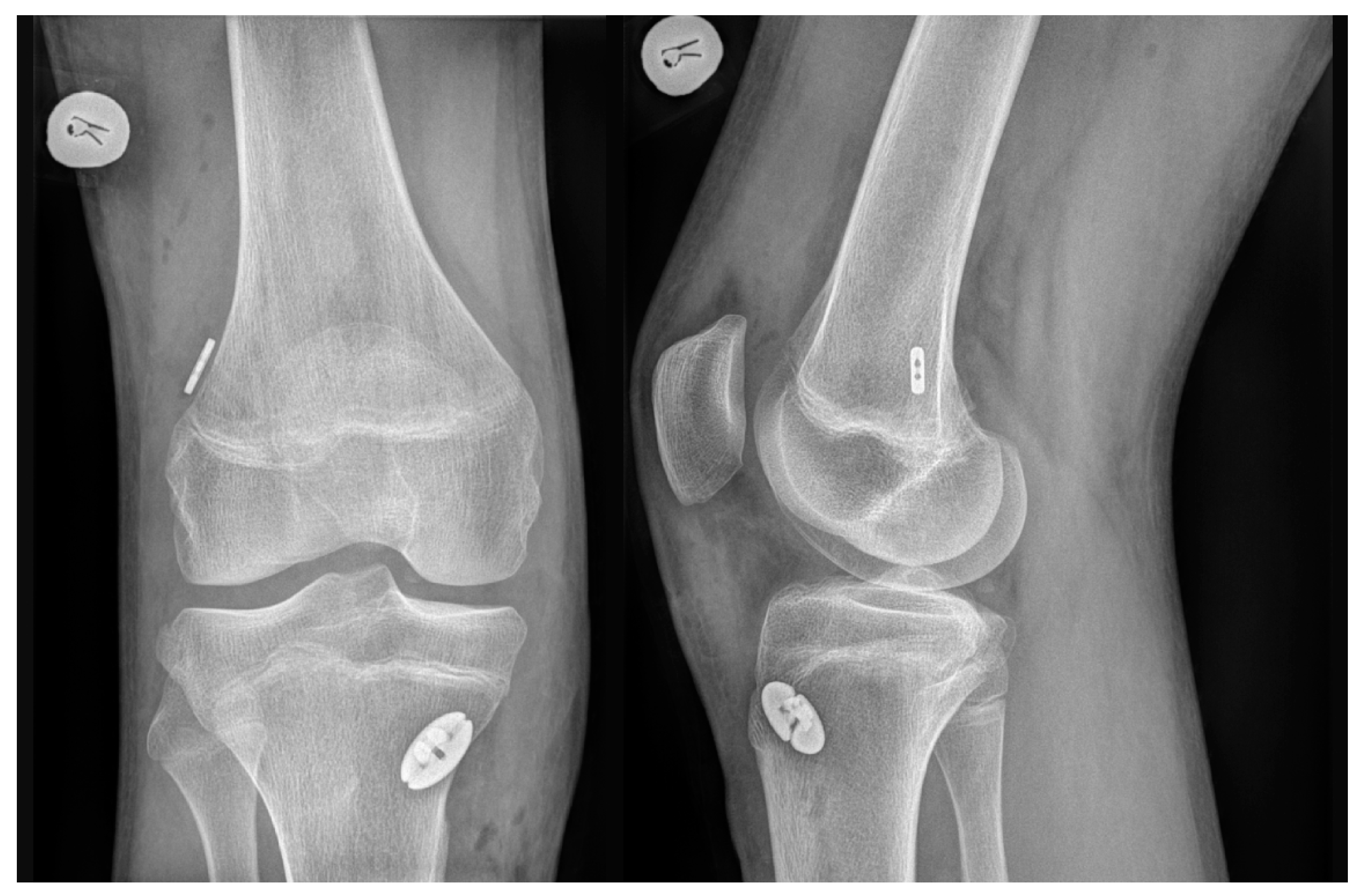 Applsci 13 06715 g002