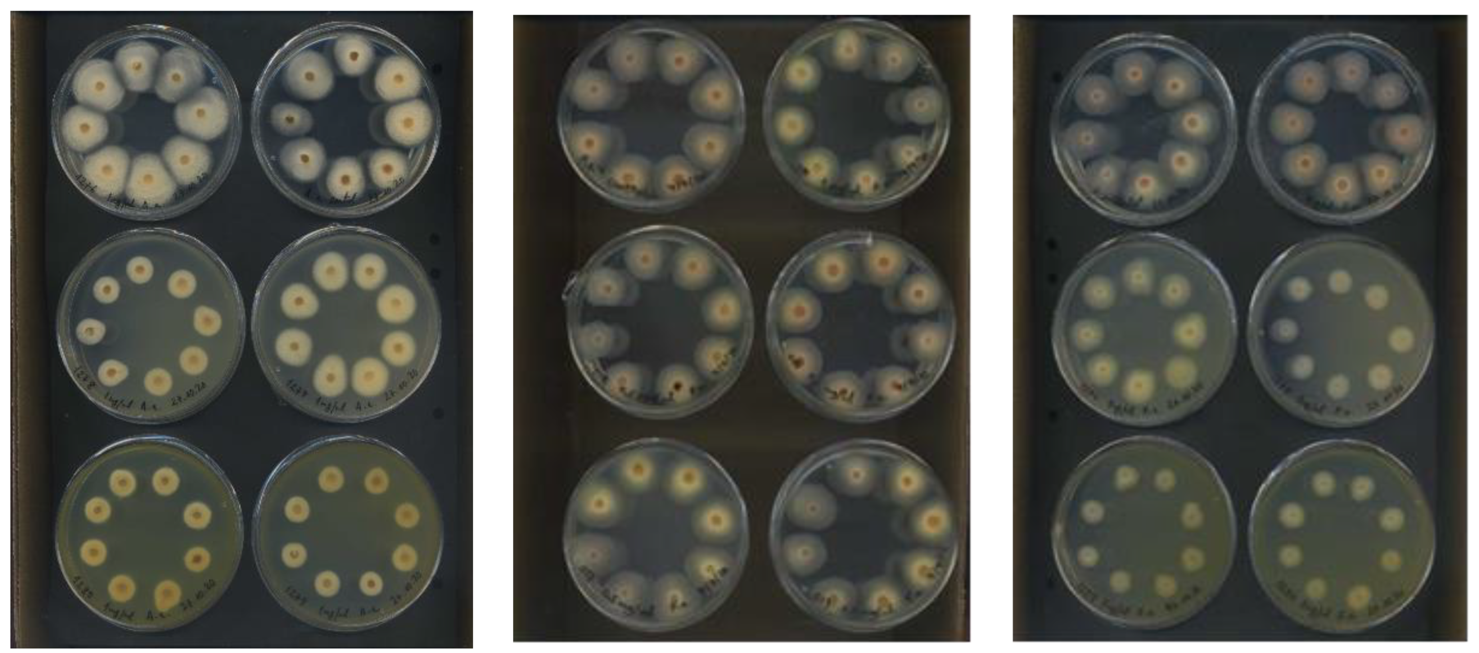 Applsci 13 06736 g004