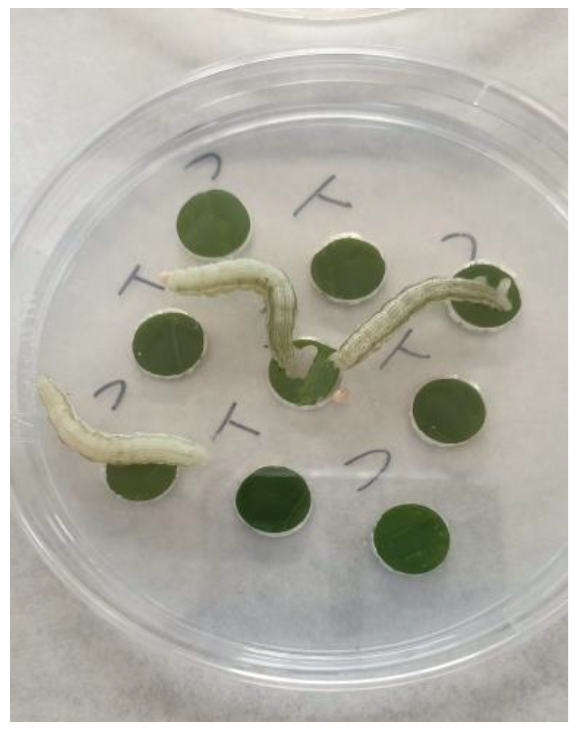 Applsci 13 06736 g005