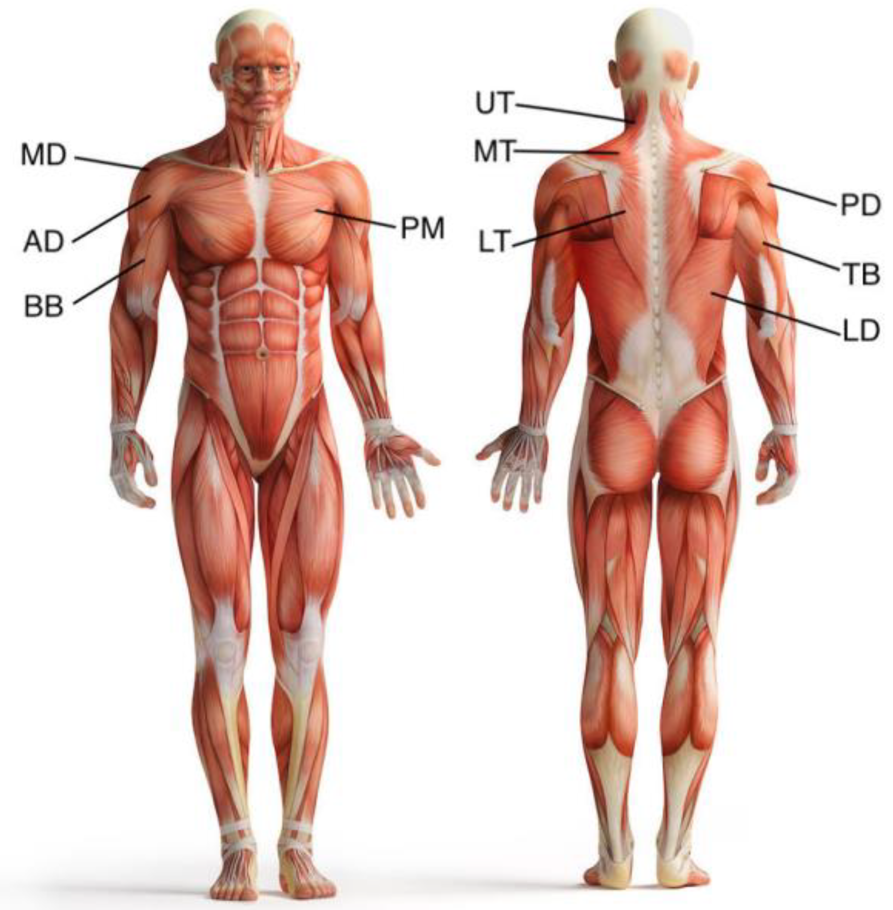 Applsci 13 06763 g008