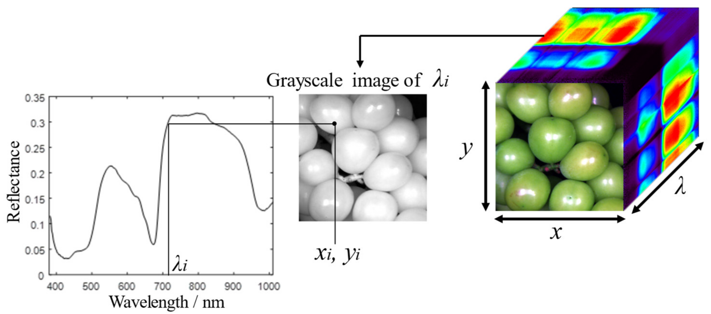 Applsci 13 06776 g001