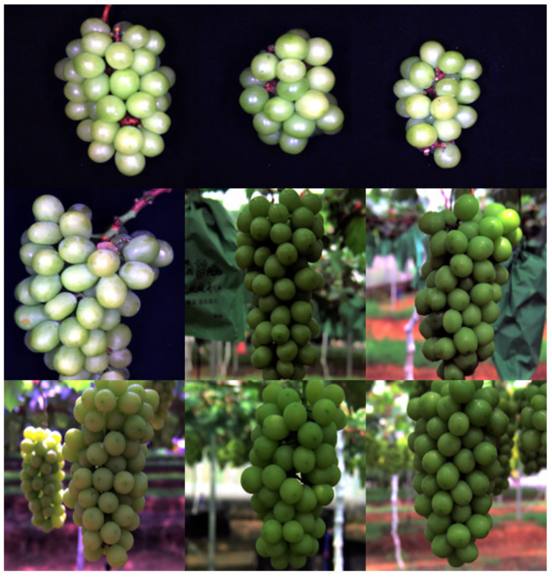 Applsci 13 06776 g004