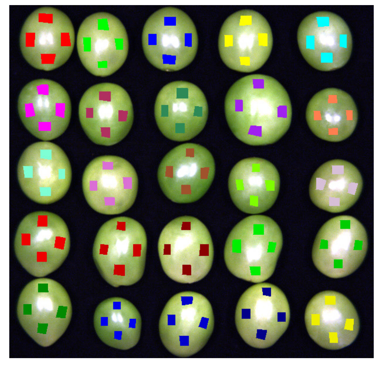 Applsci 13 06776 g007