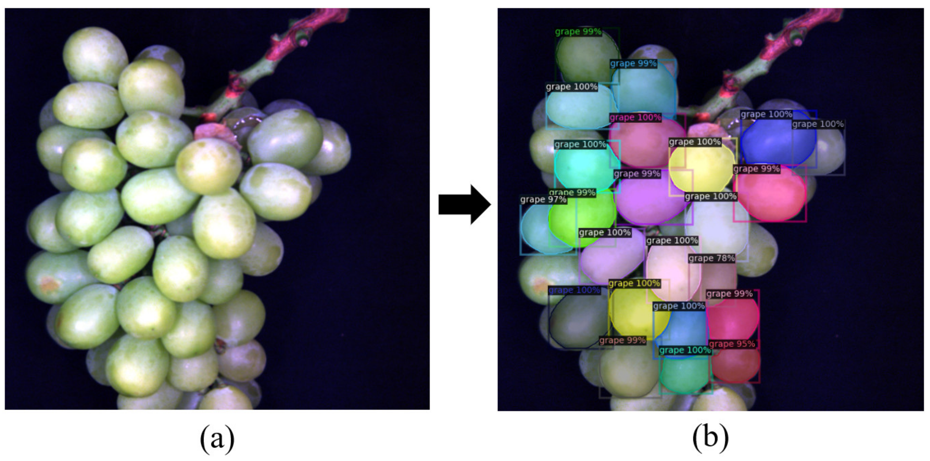 Applsci 13 06776 g009