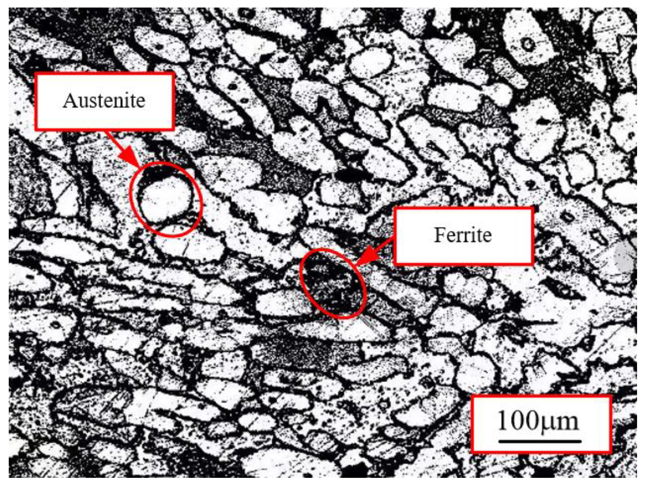 Applsci 13 06823 g005