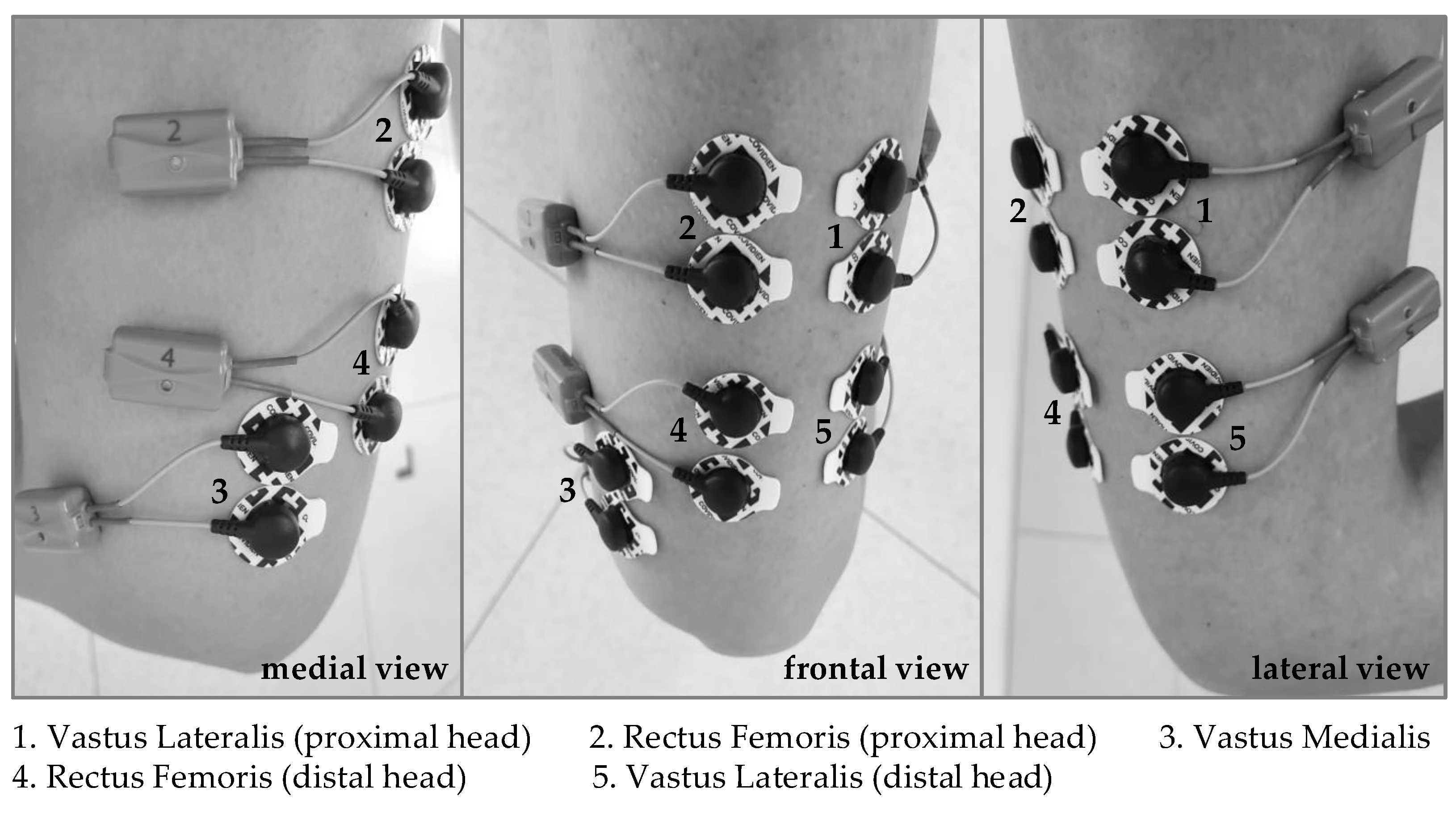 Applsci 13 06855 g002 Applsci 13 06855 g002