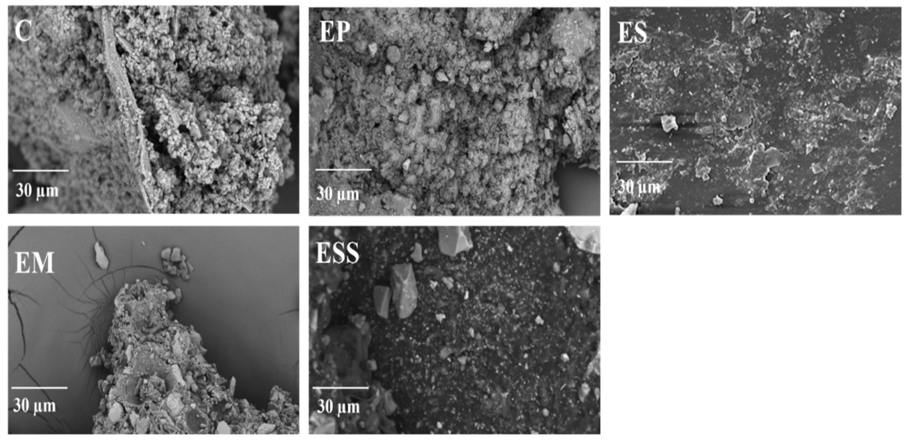 Applsci 13 06857 g003 Applsci 13 06857 g003