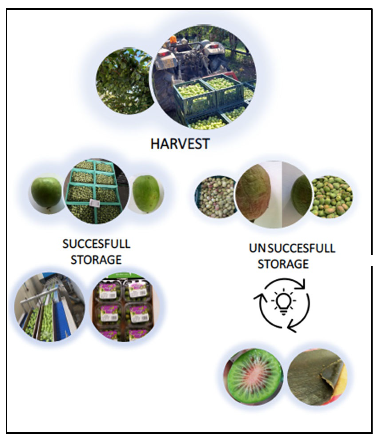 Applsci 13 06859 g001 Applsci 13 06859 g001