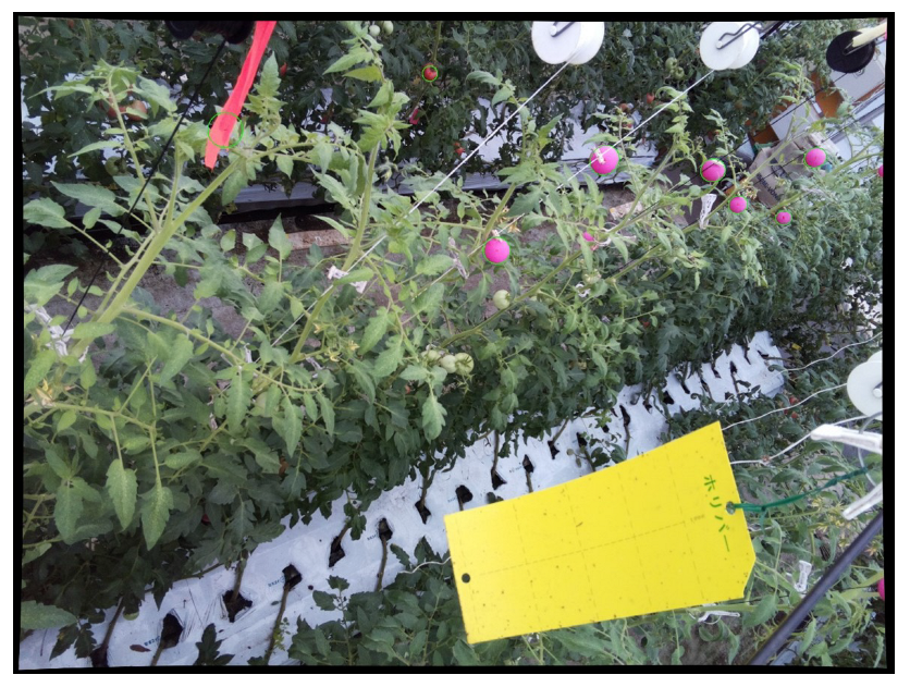 Applsci 13 06880 g006