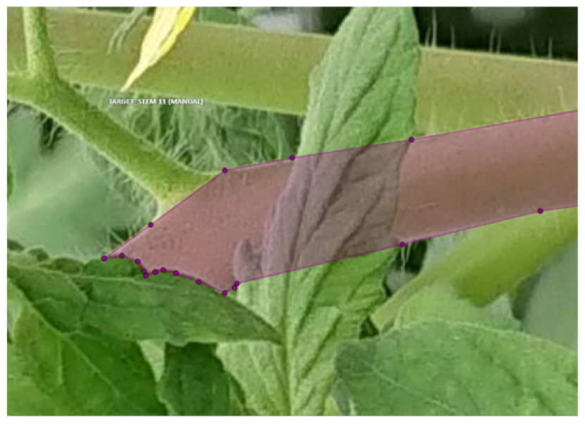 Applsci 13 06880 g007