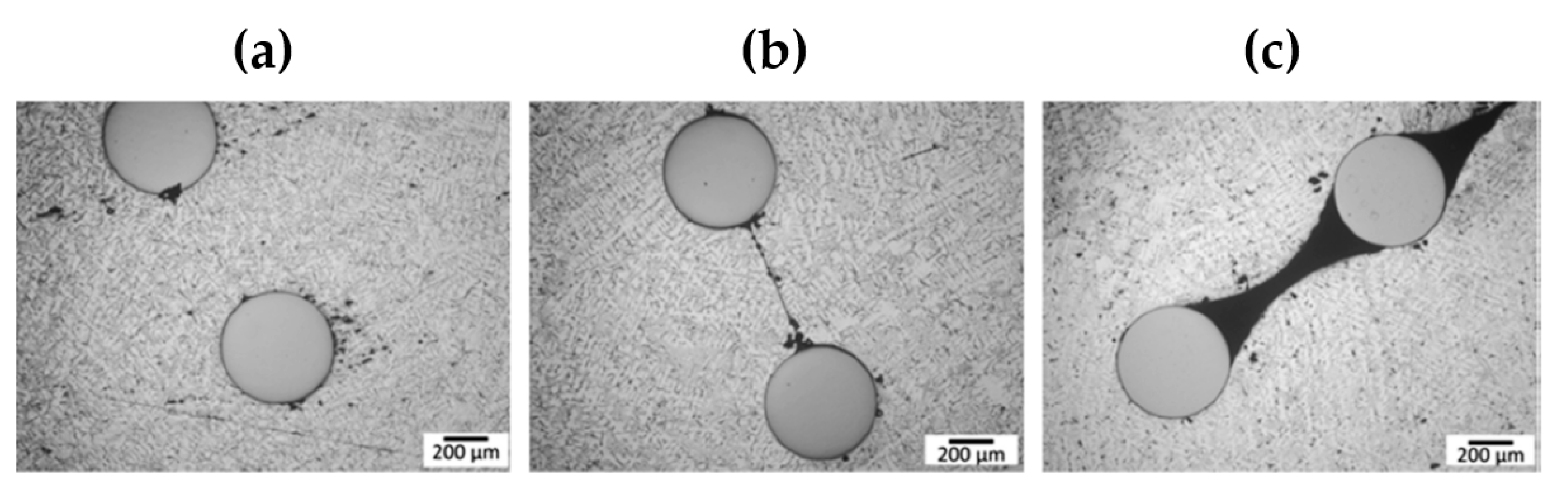 Applsci 13 06884 g002