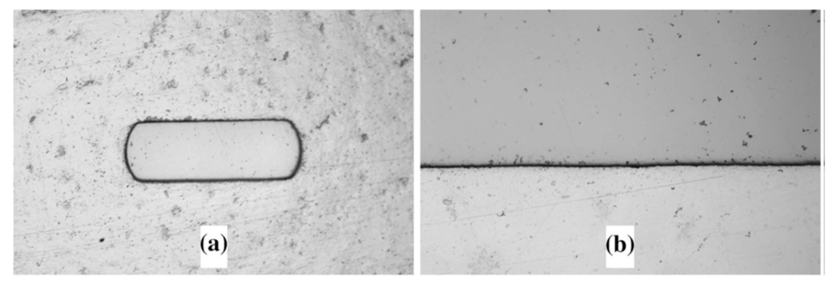 Applsci 13 06884 g003