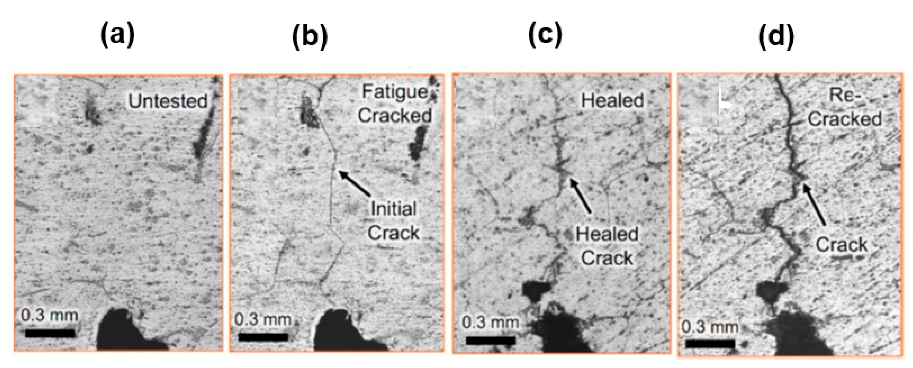 Applsci 13 06884 g004