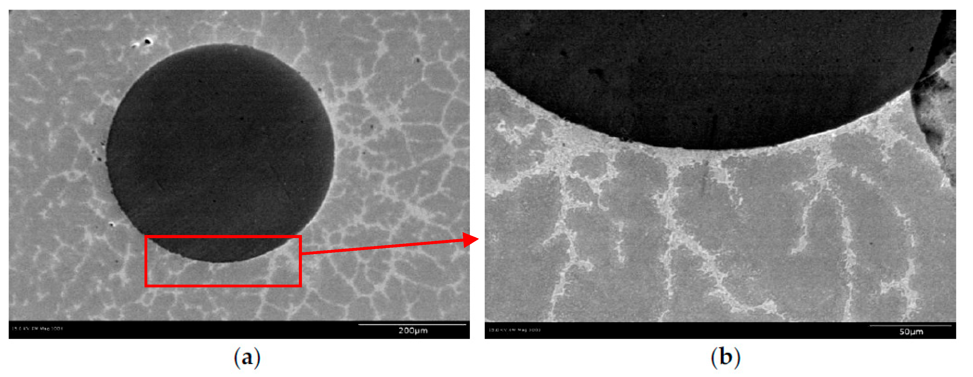 Applsci 13 06884 g006