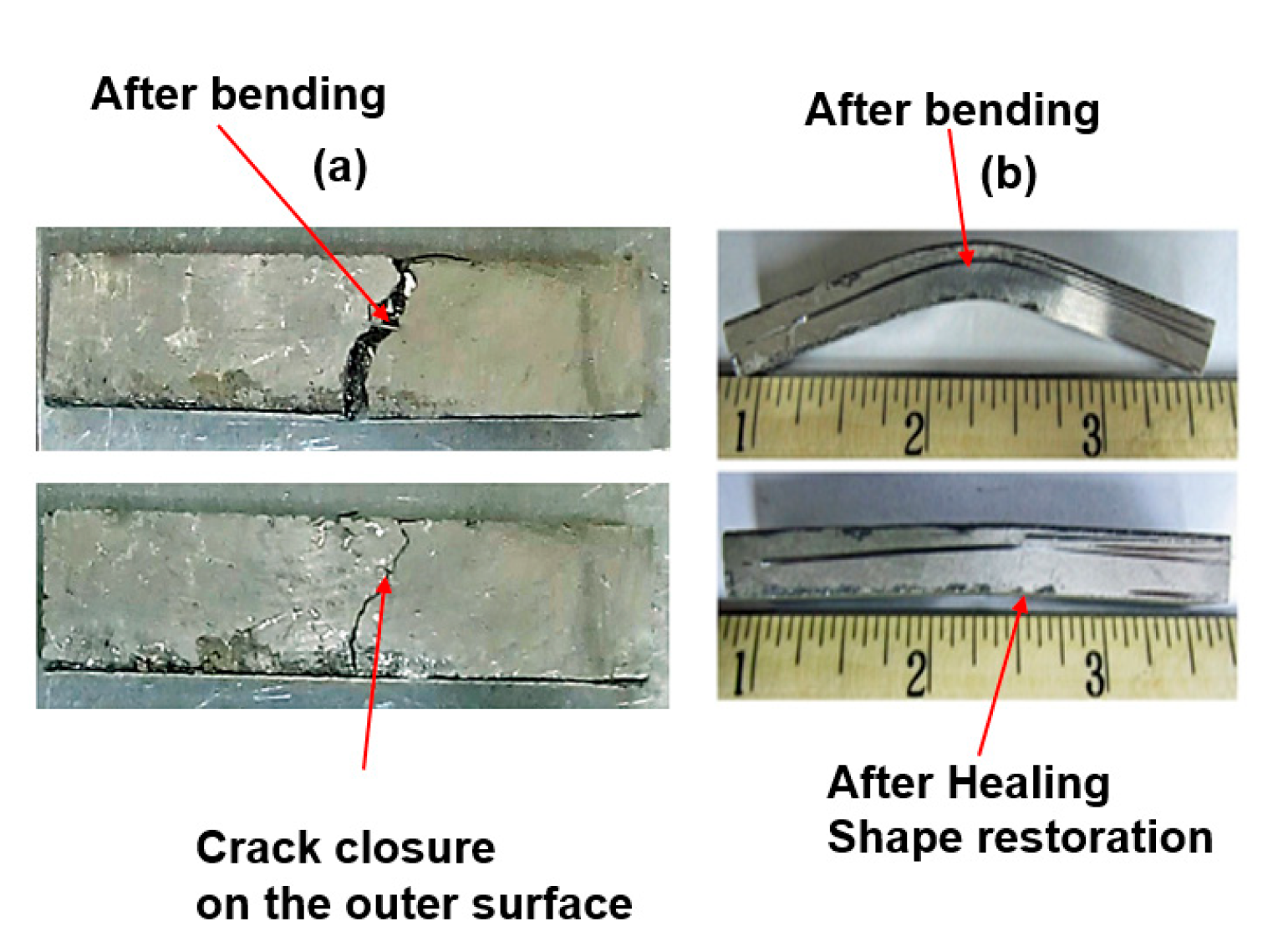 Applsci 13 06884 g011