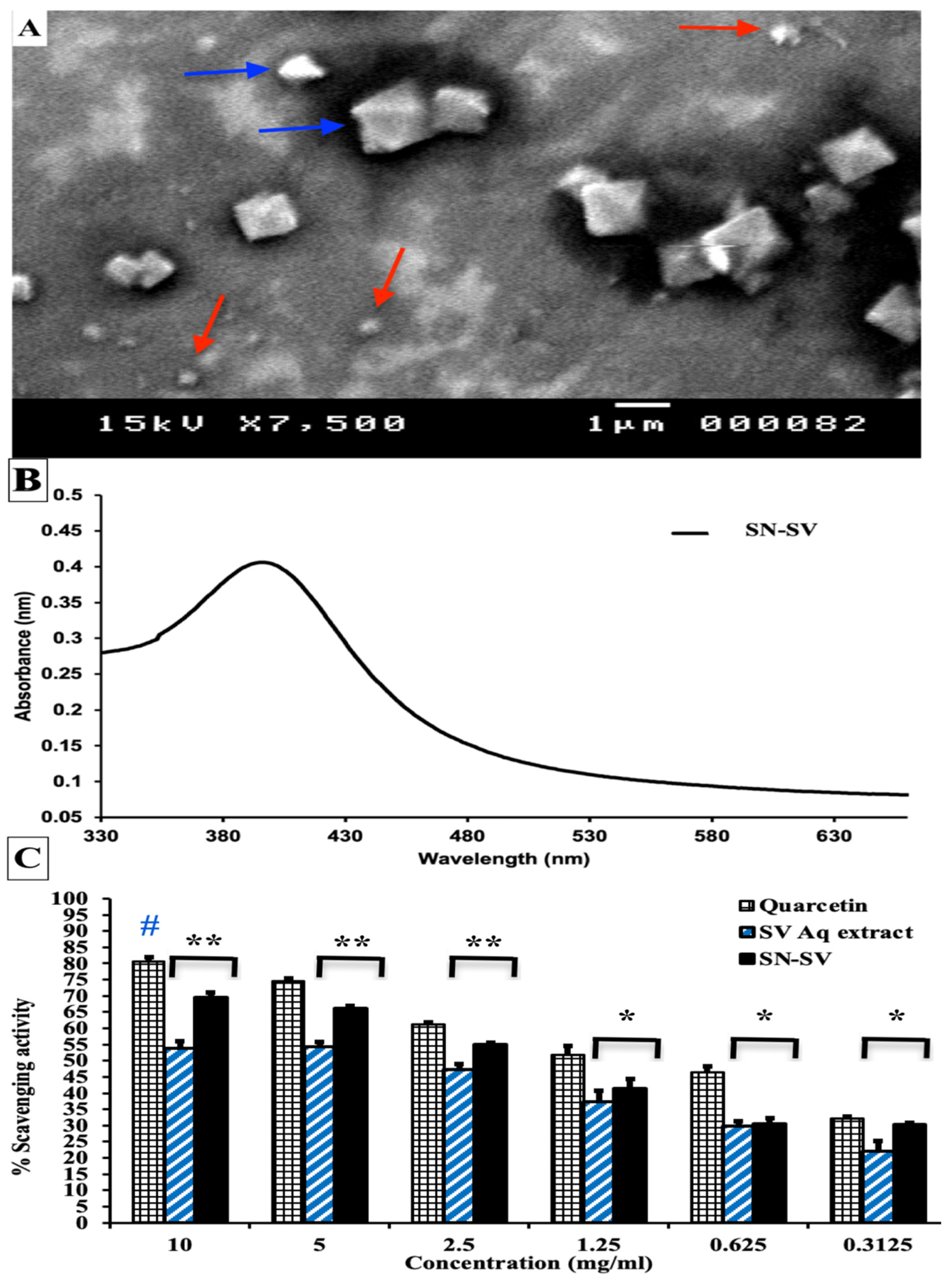 Applsci 13 06912 g002 Applsci 13 06912 g002