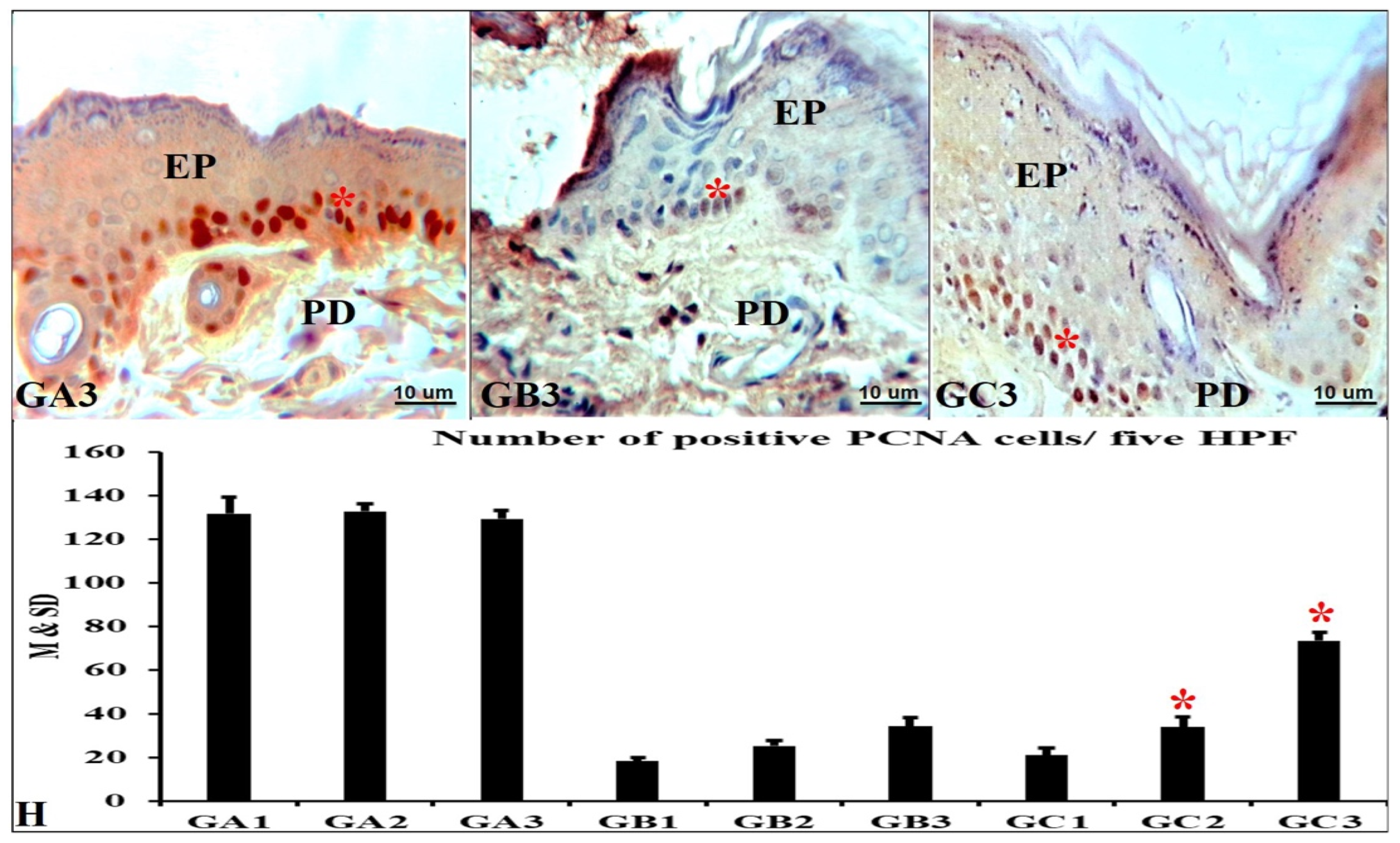 Applsci 13 06912 g005 Applsci 13 06912 g005
