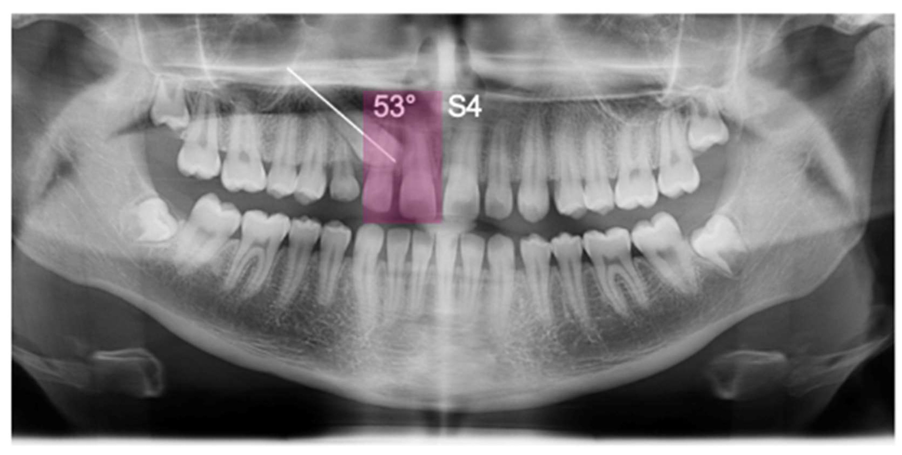Applsci 13 06914 g002